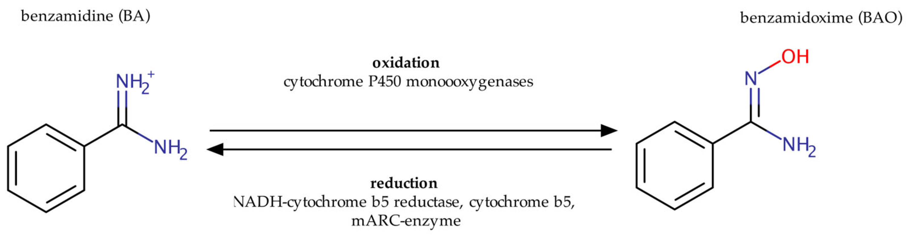 Molecules 28 04713 g001 Molecules 28 04713 g001