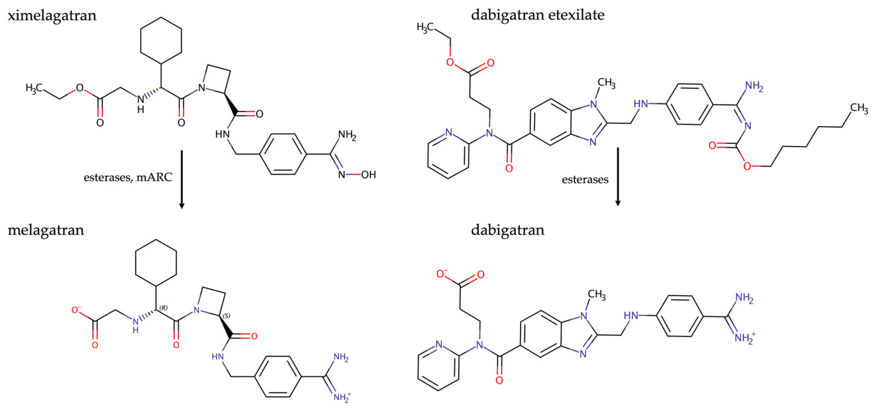 Molecules 28 04713 g004 Molecules 28 04713 g004