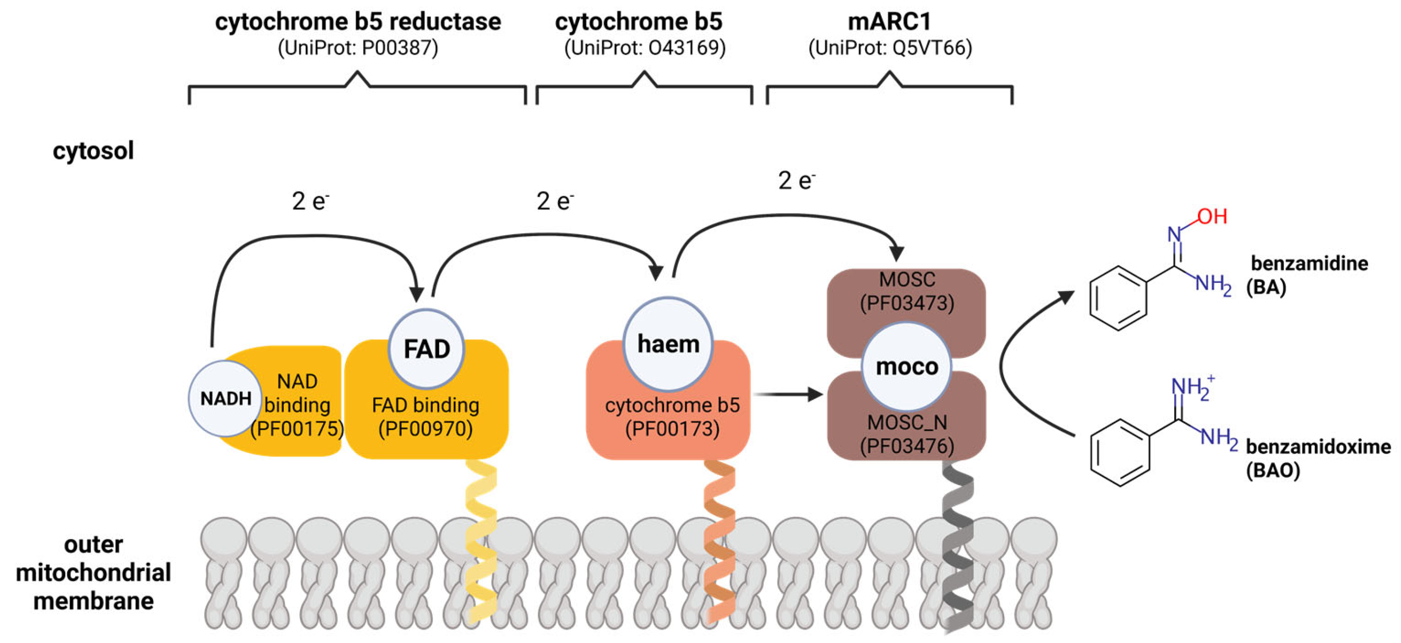 Molecules 28 04713 g005 Molecules 28 04713 g005