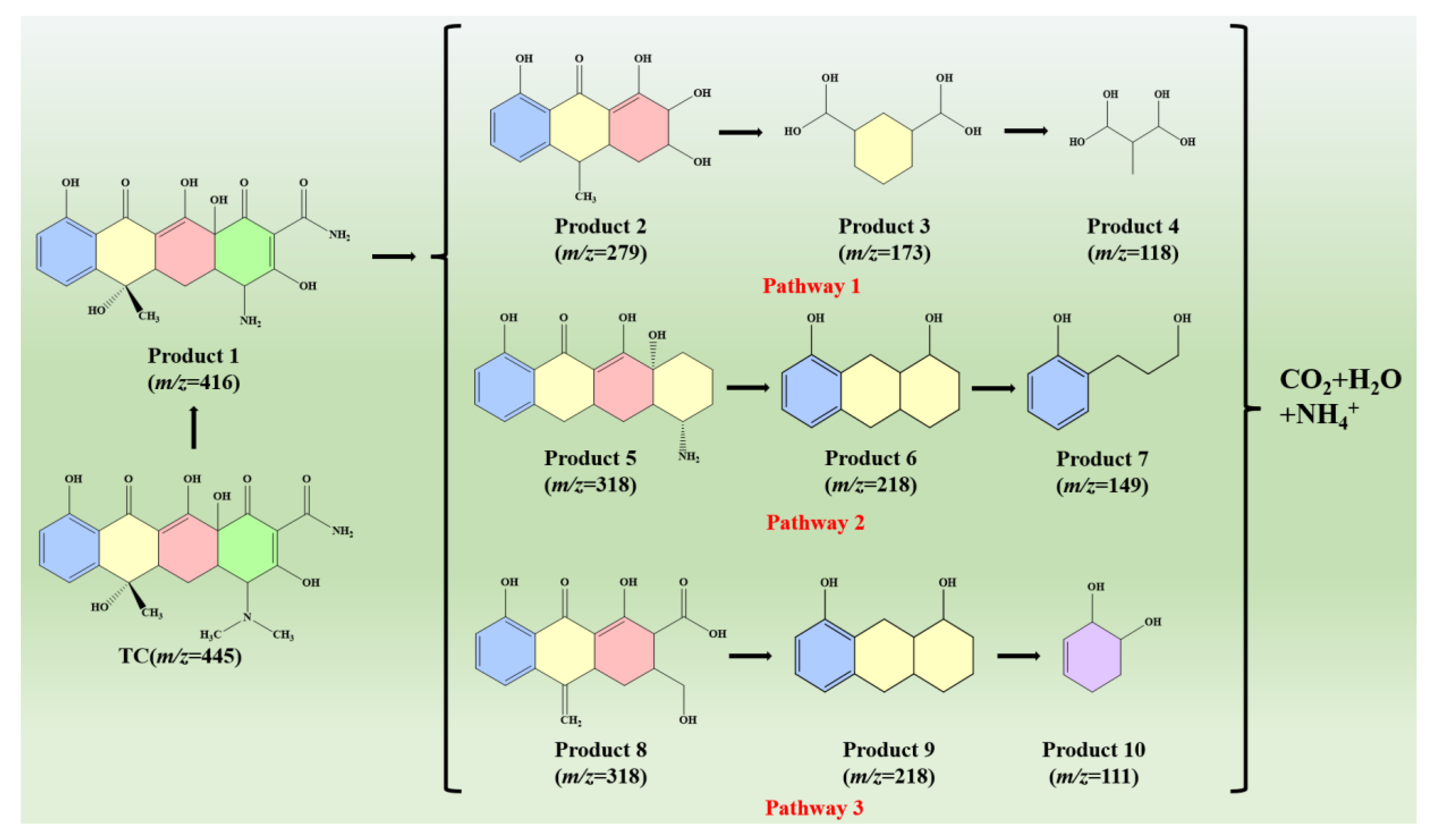 Molecules 28 04727 g008 Molecules 28 04727 g008