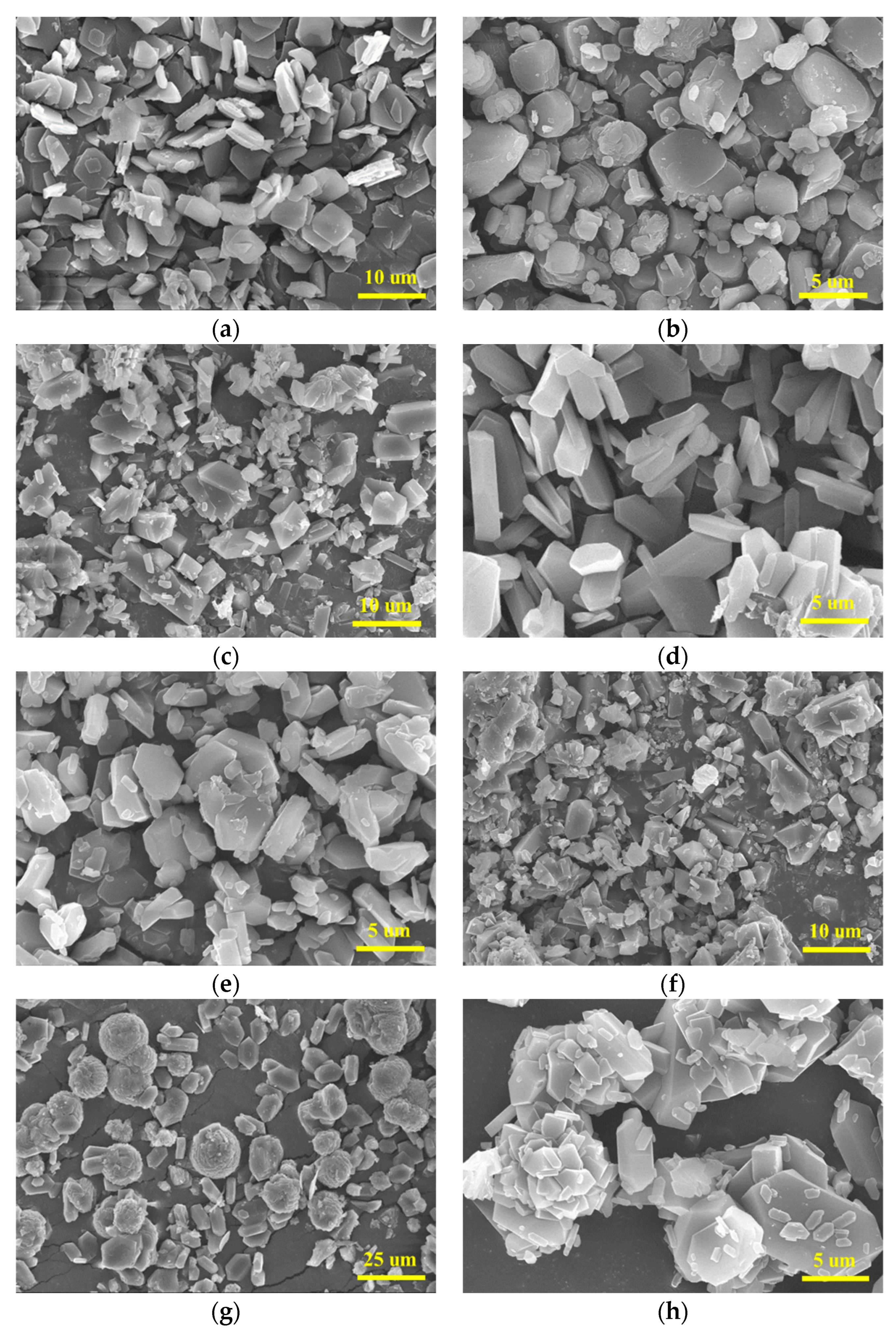 Molecules 28 04735 g003