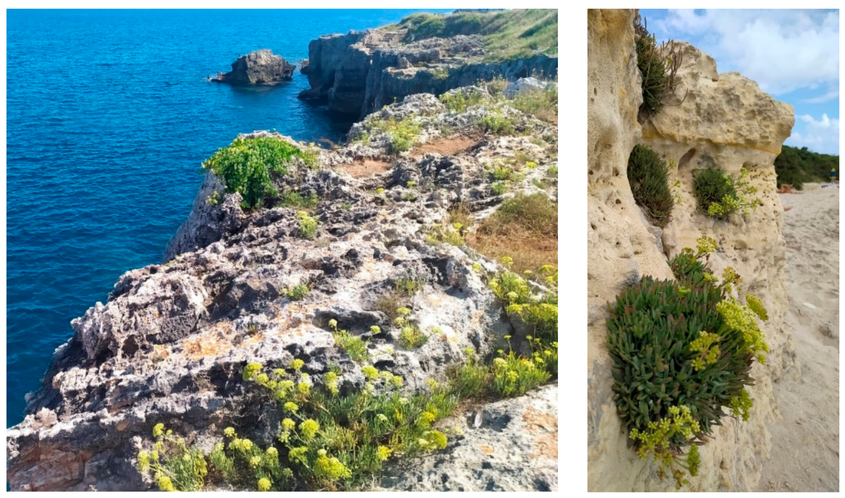 Molecules 28 04741 g001