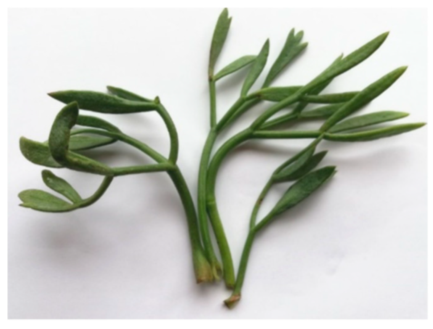 Molecules 28 04741 g002