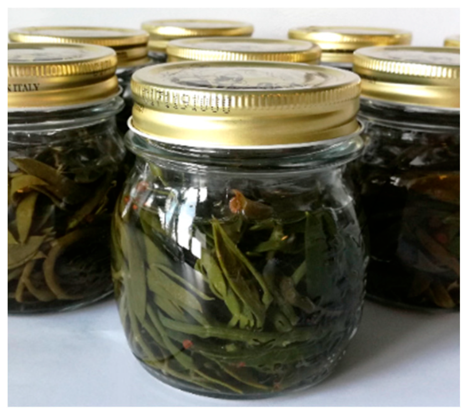 Molecules 28 04741 g003