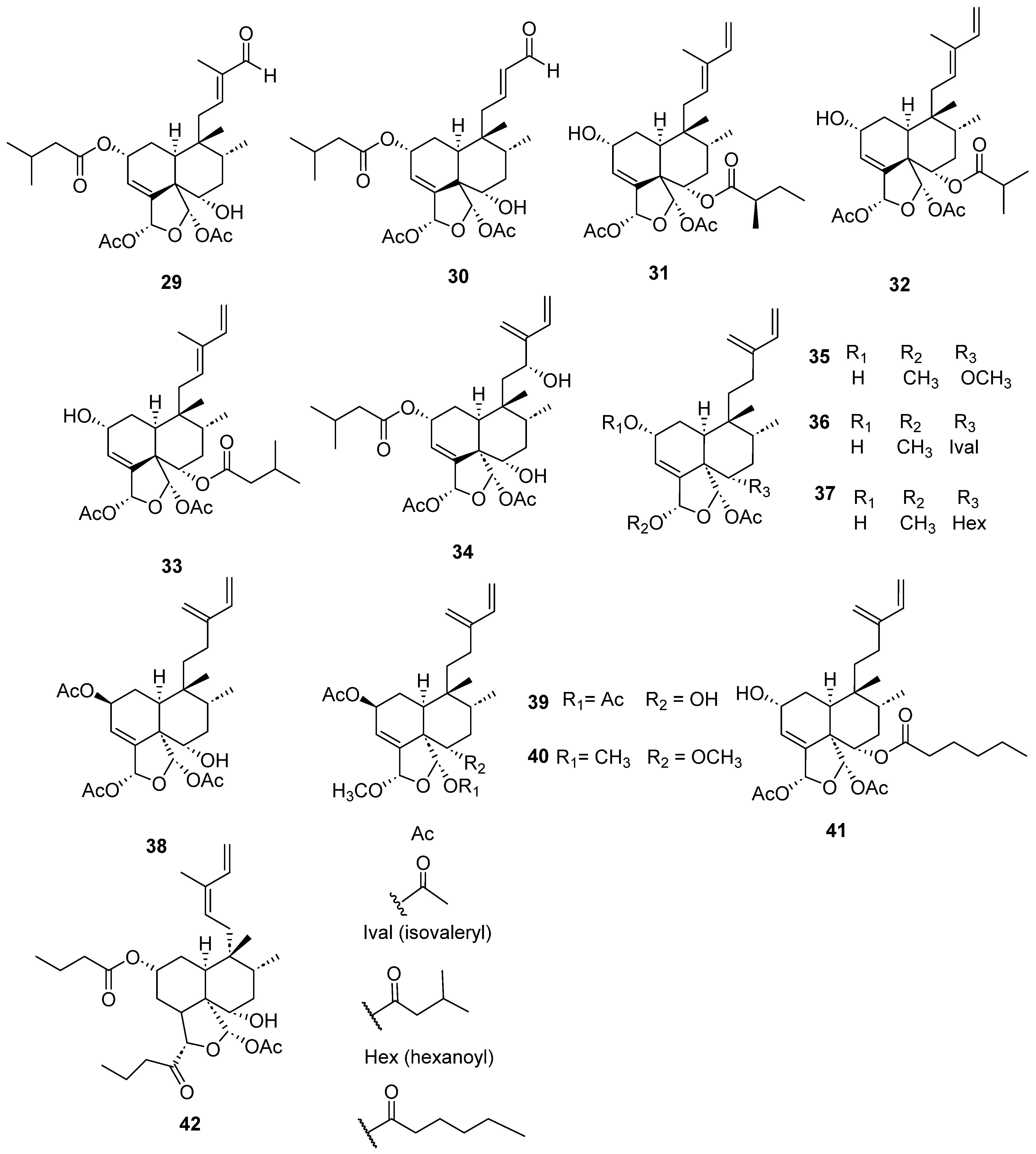 Molecules 28 04744 g005 Molecules 28 04744 g005
