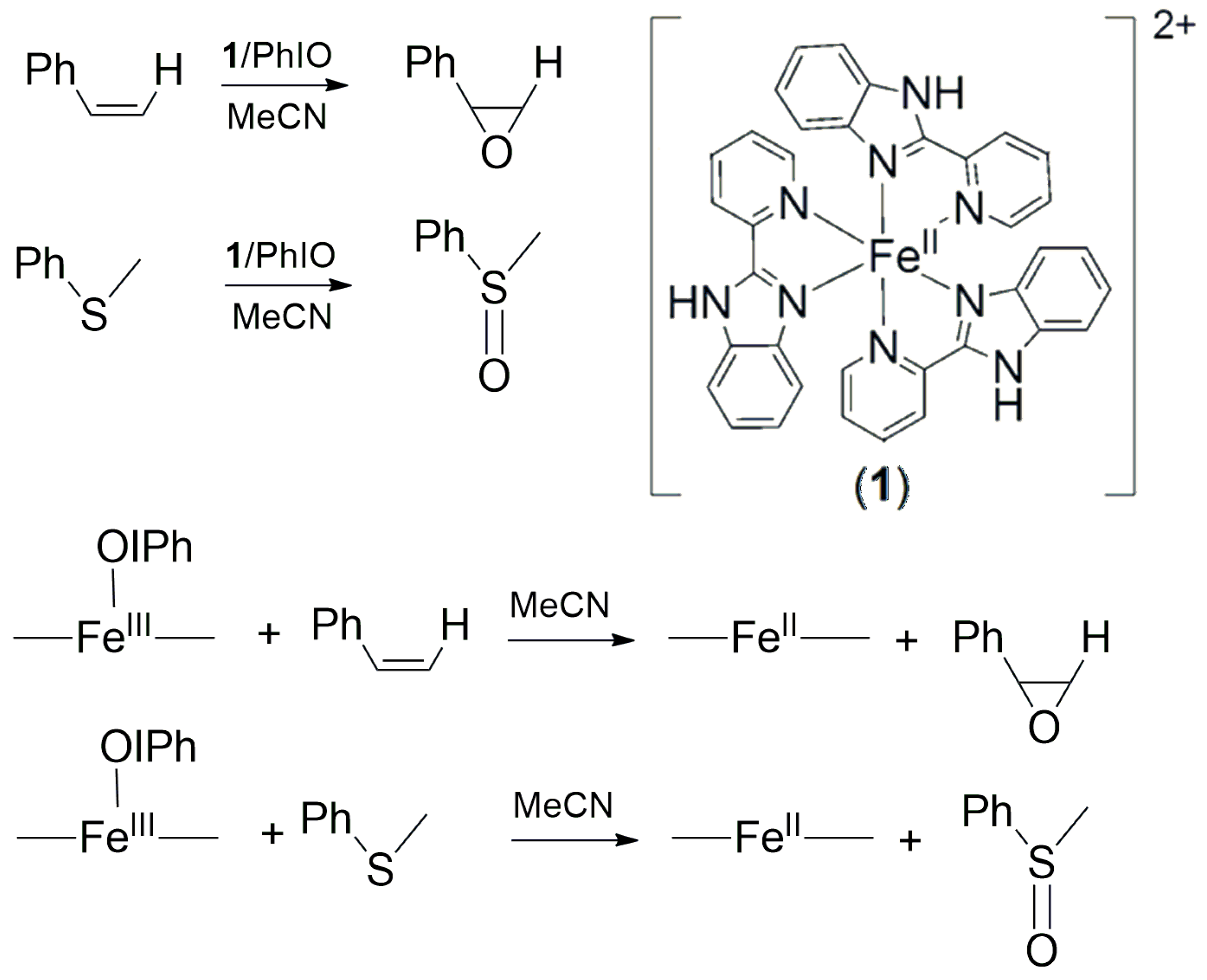 Molecules 28 04745 g001