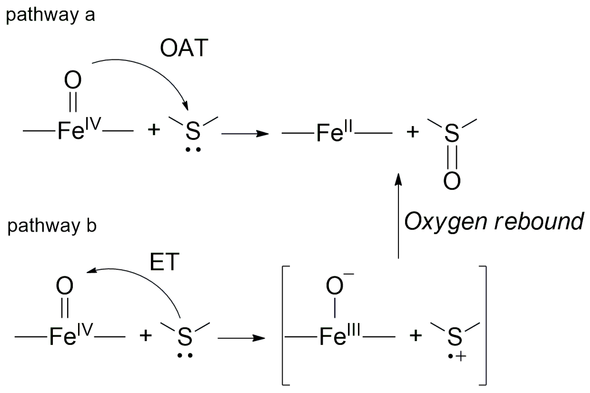 Molecules 28 04745 sch001