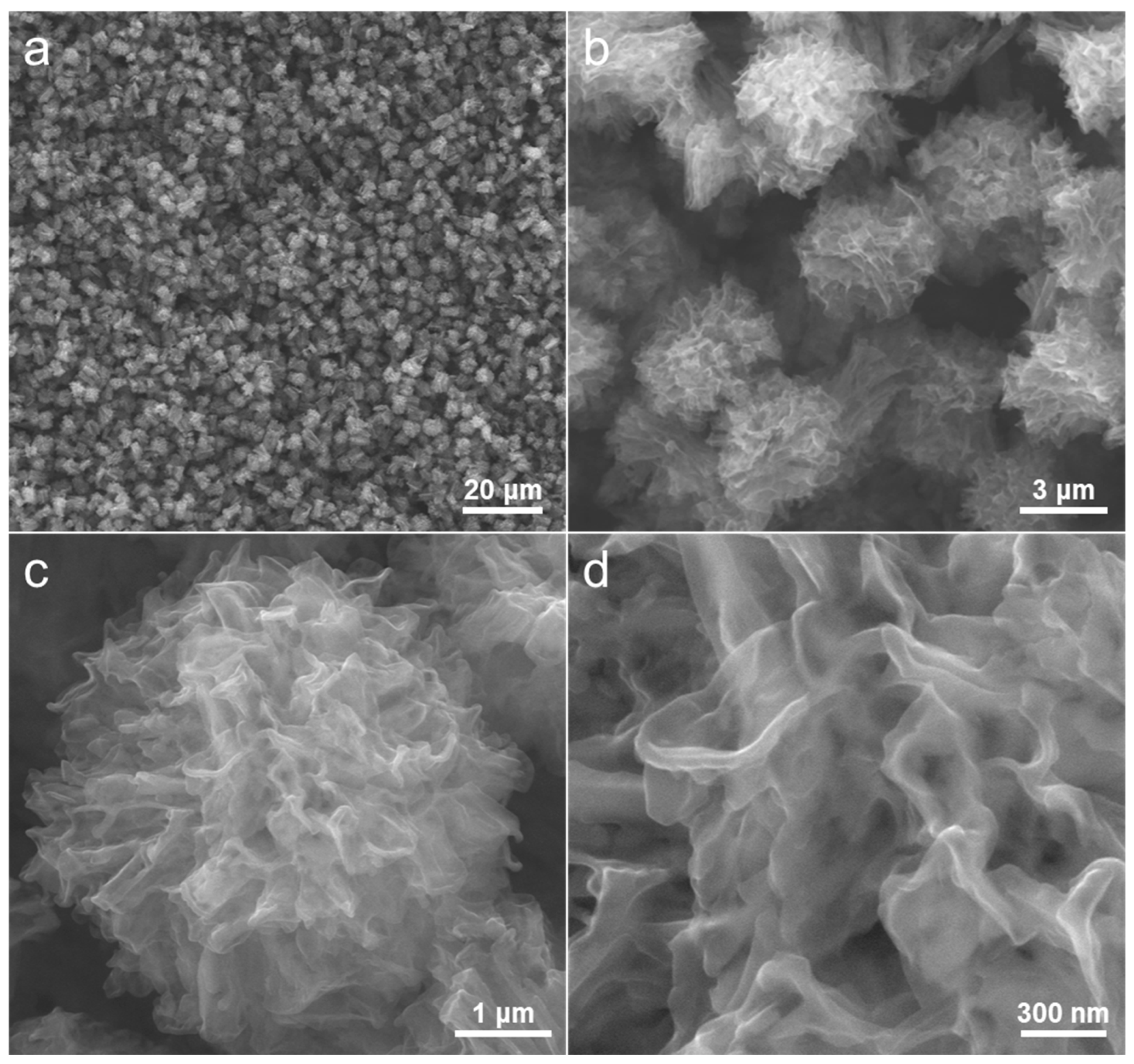 Molecules 28 04753 g003