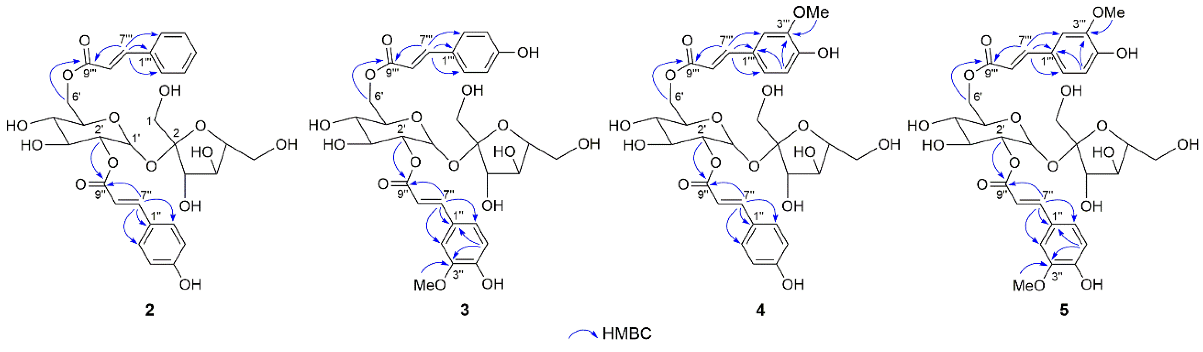 Molecules 28 04767 g003 Molecules 28 04767 g003