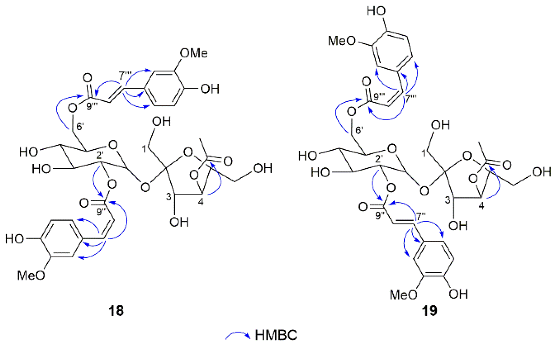 Molecules 28 04767 g005 Molecules 28 04767 g005