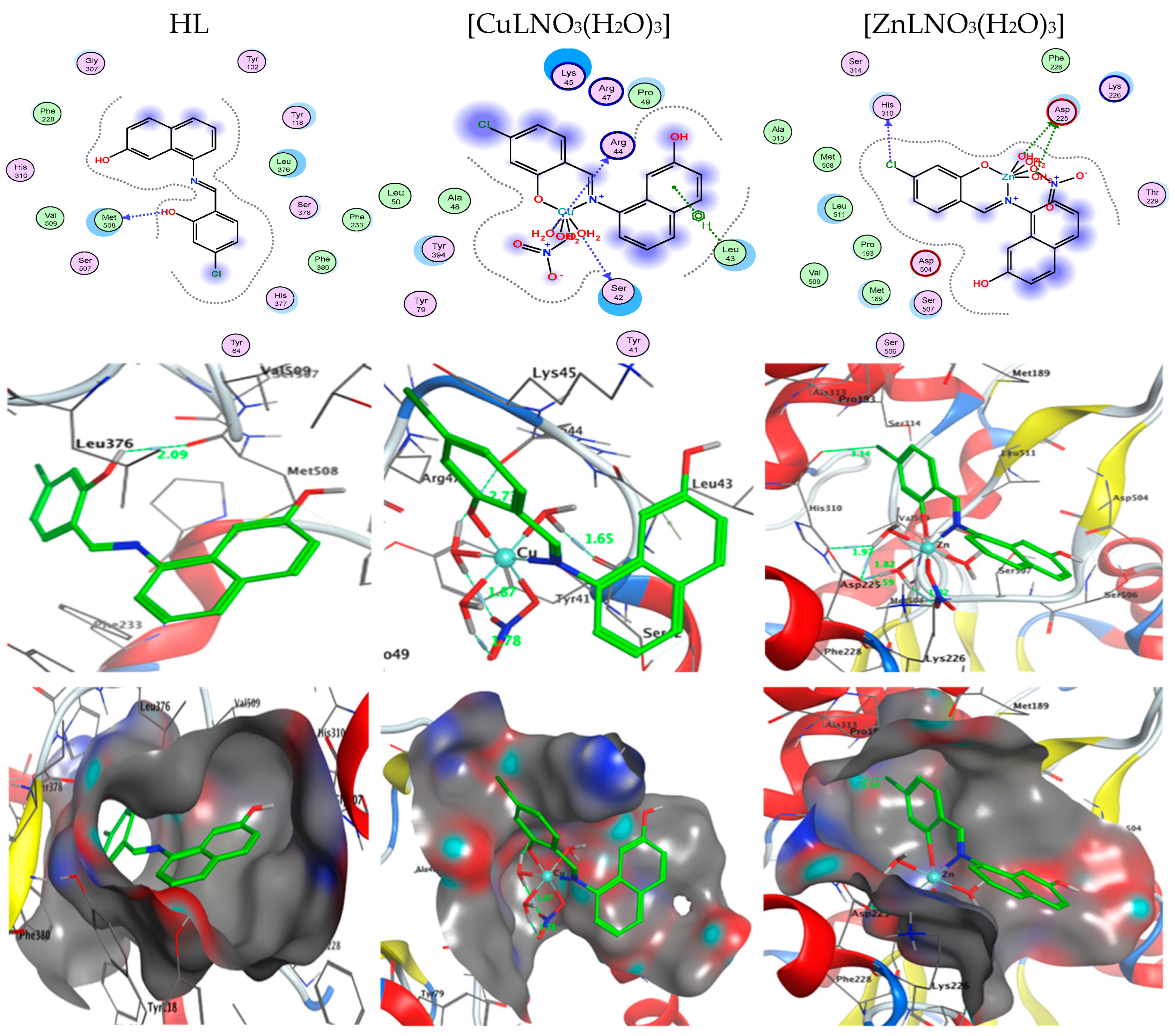 Molecules 28 04777 g015 Molecules 28 04777 g015