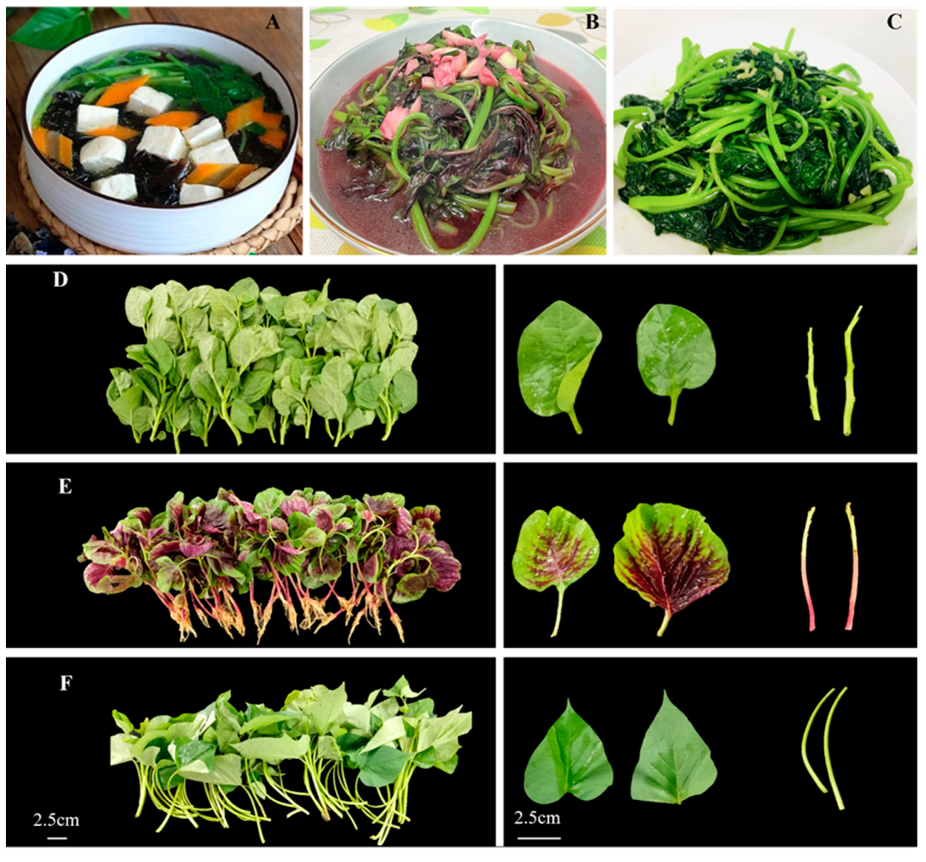 Molecules 28 04780 g001