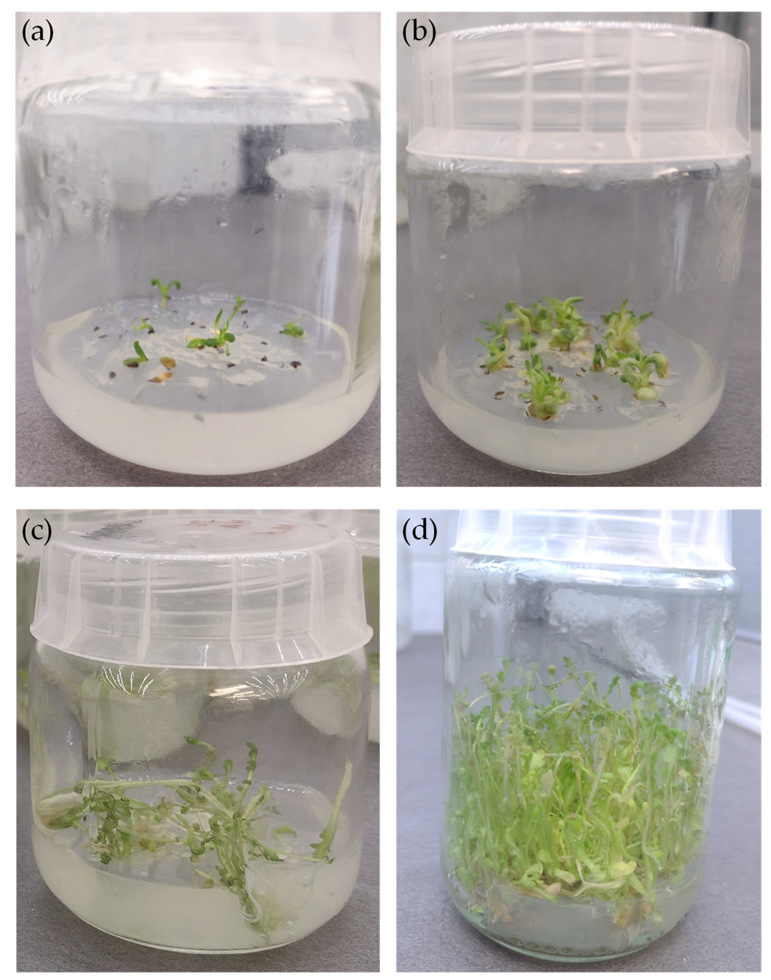 Molecules 28 04791 g001