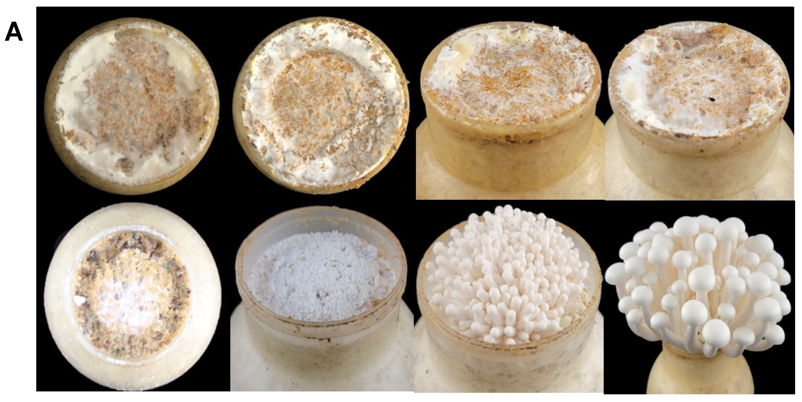 Molecules 28 04796 g003a Molecules 28 04796 g003a