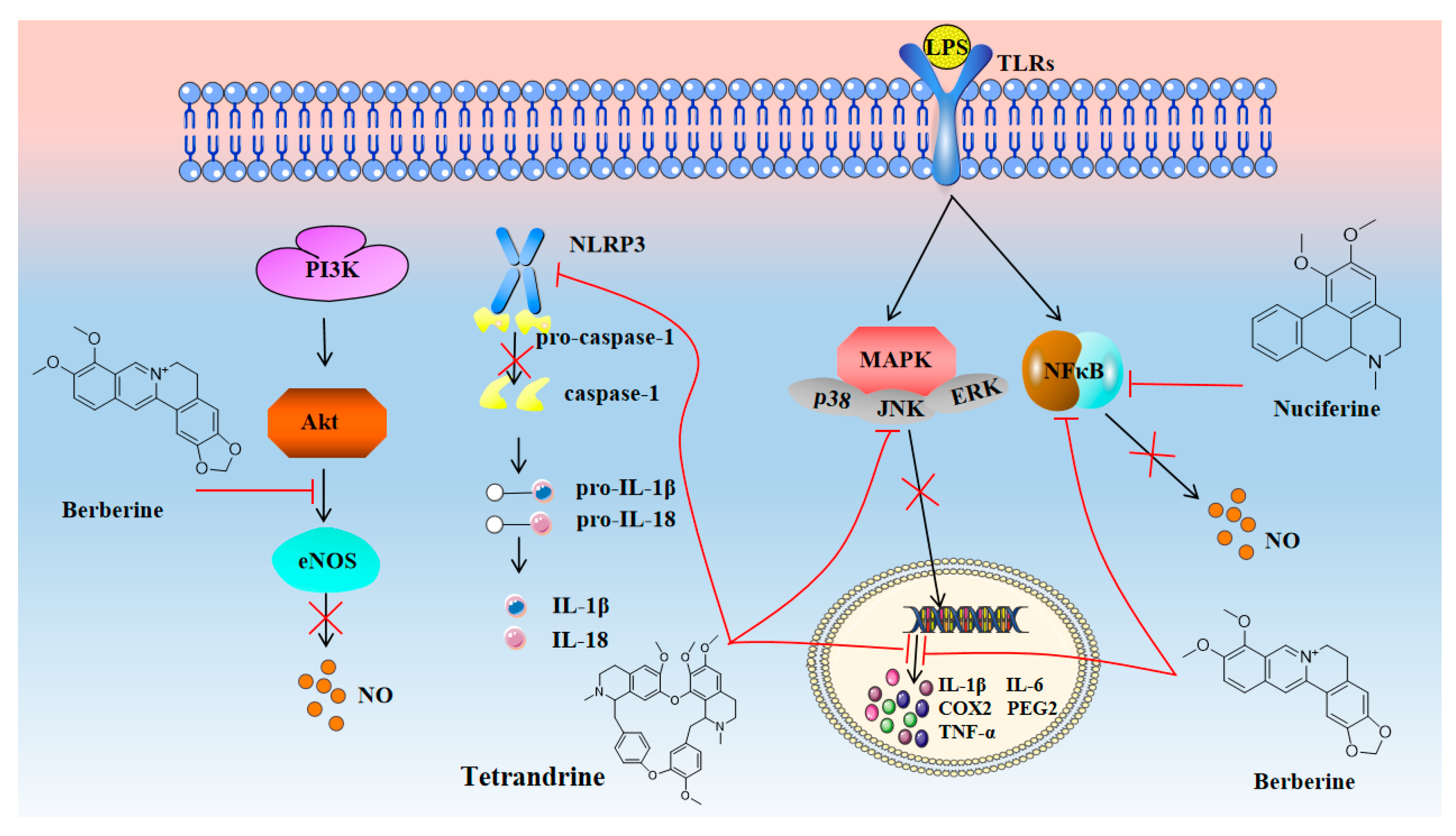 Molecules 28 04797 g002