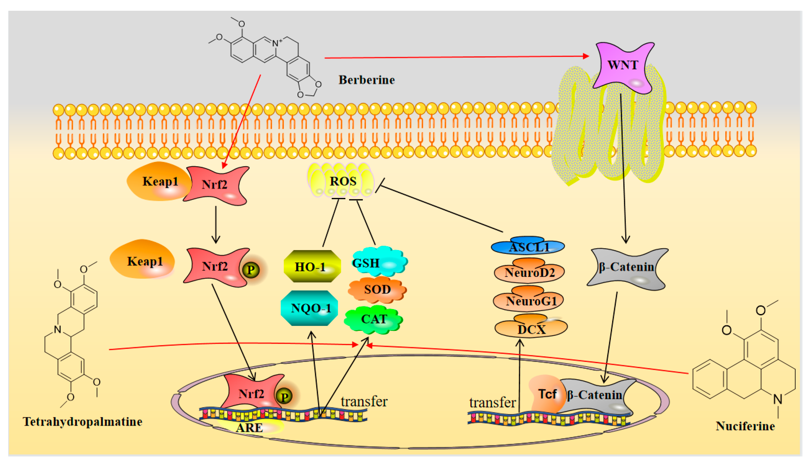 Molecules 28 04797 g003