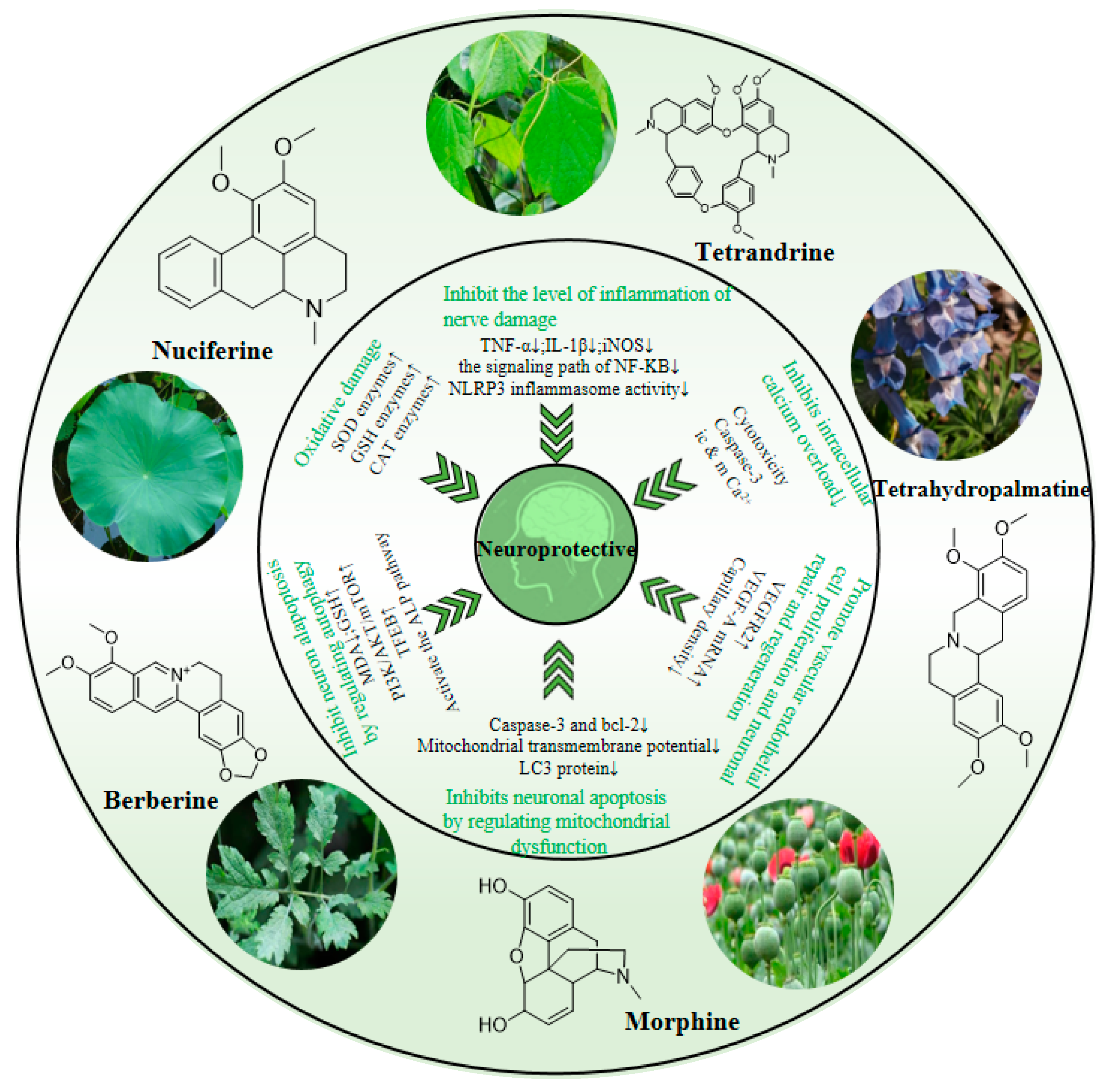 Molecules 28 04797 g006