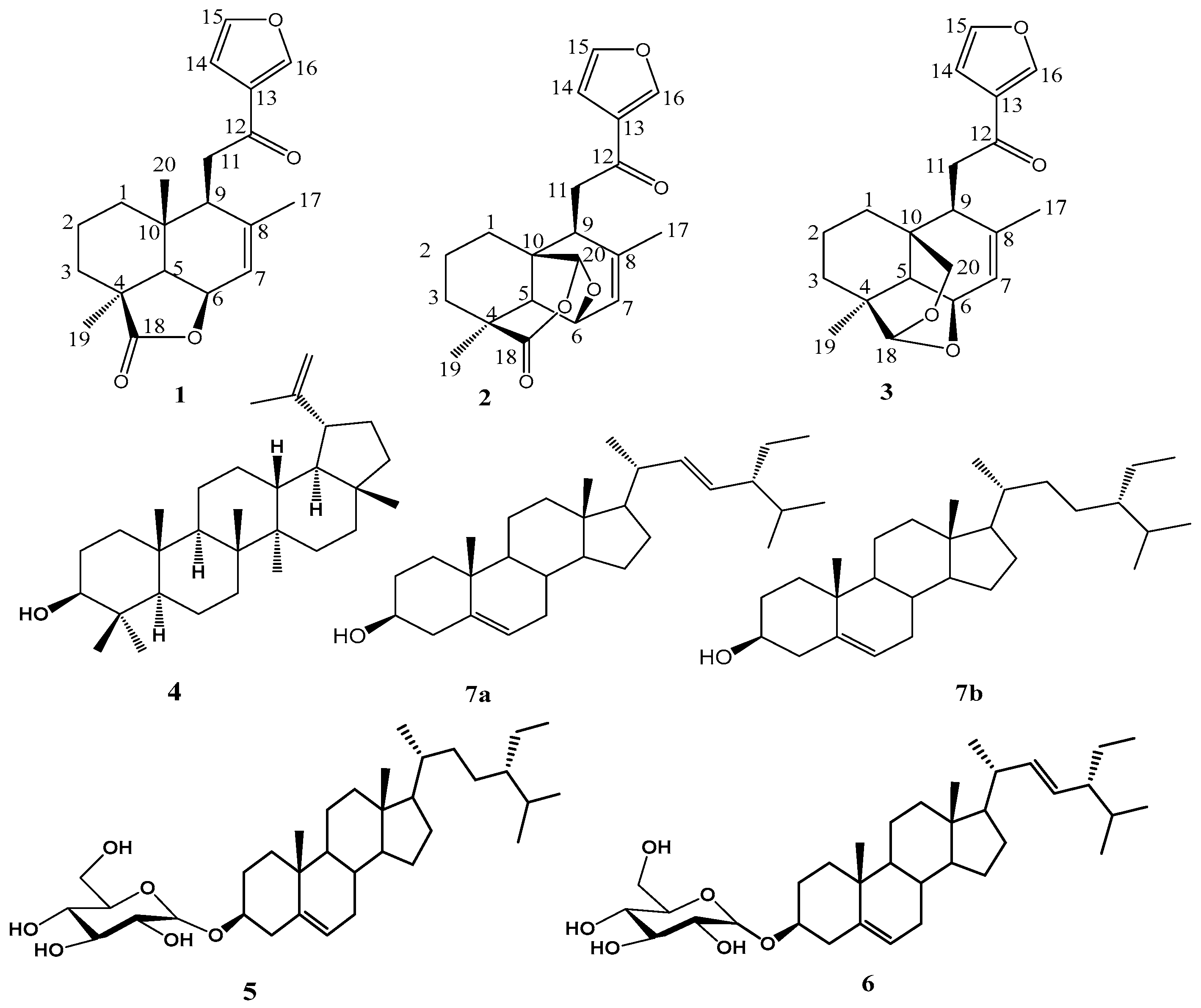 Molecules 28 04802 g001