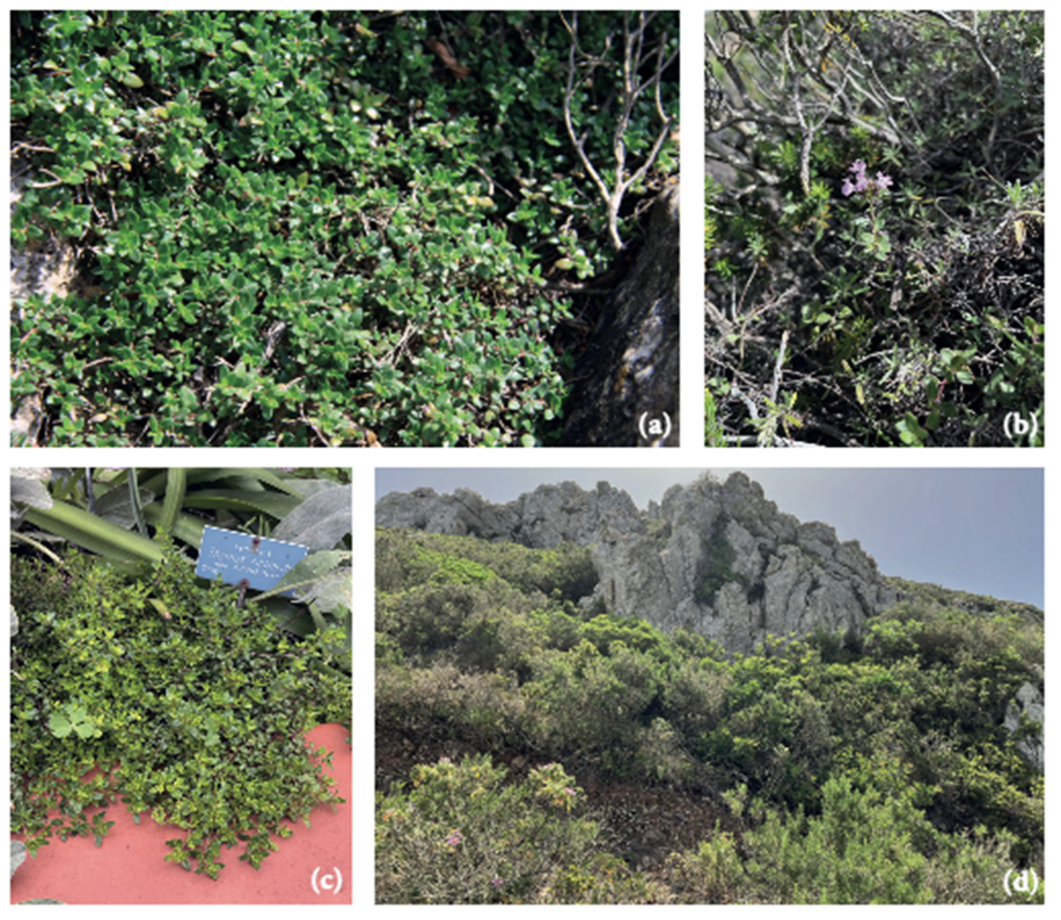 Molecules 28 04803 g001