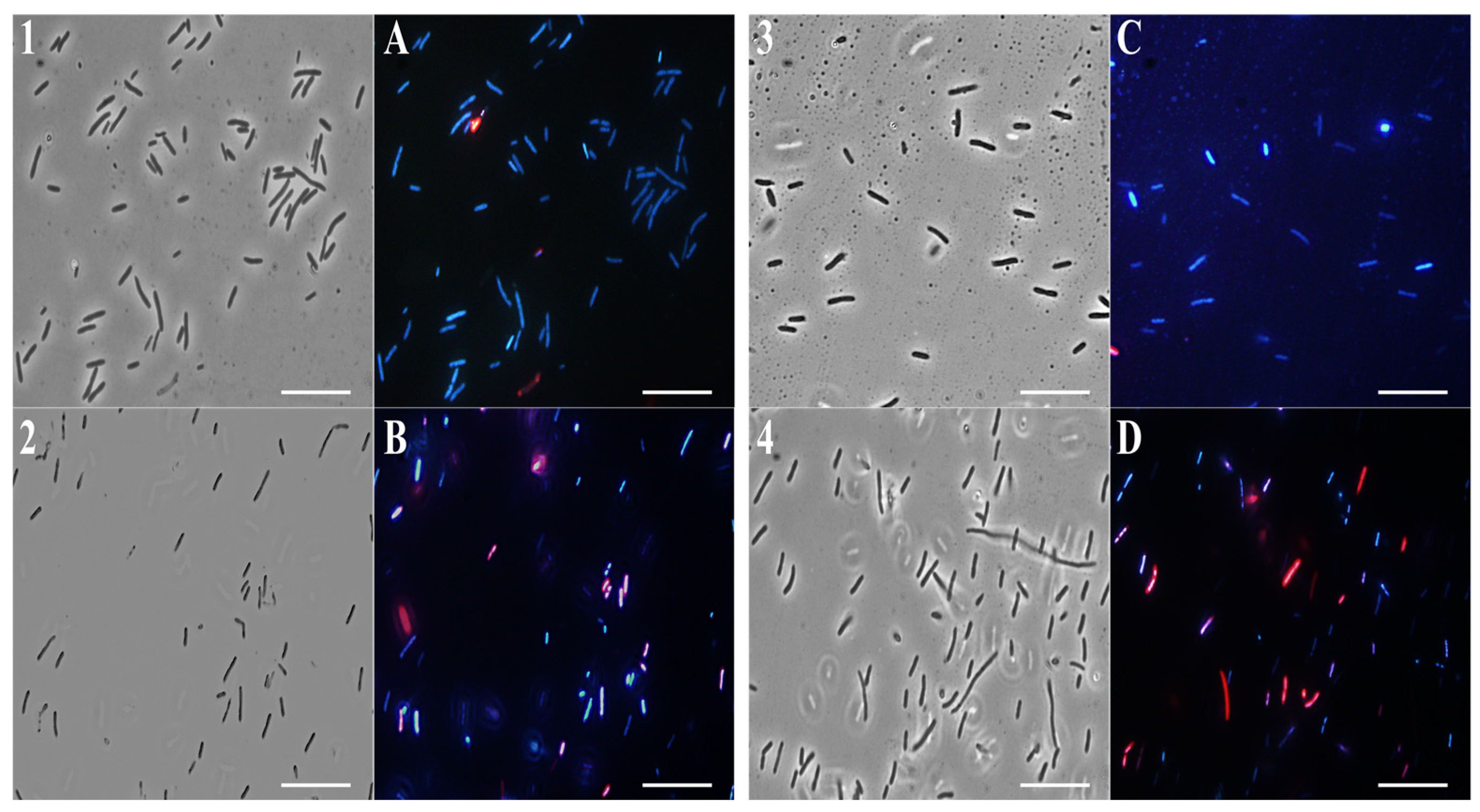 Molecules 28 04803 g005