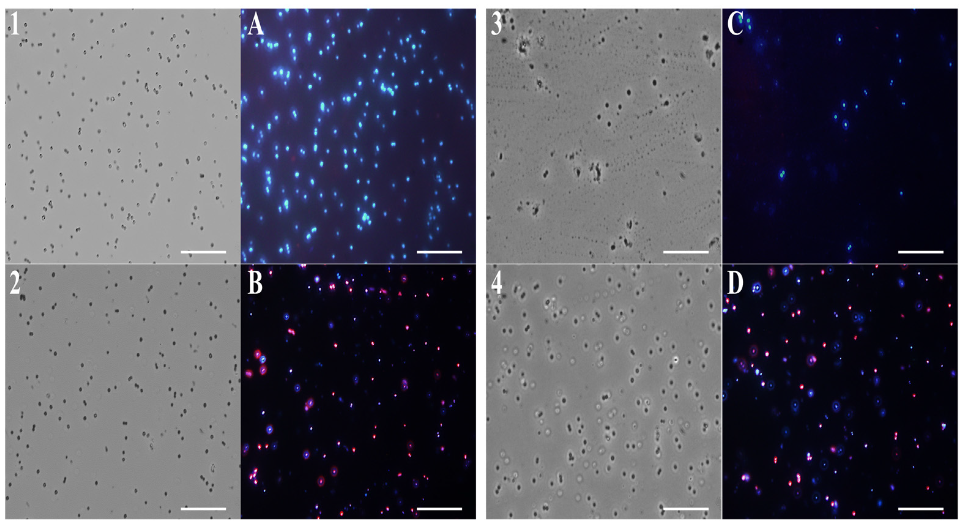 Molecules 28 04803 g006