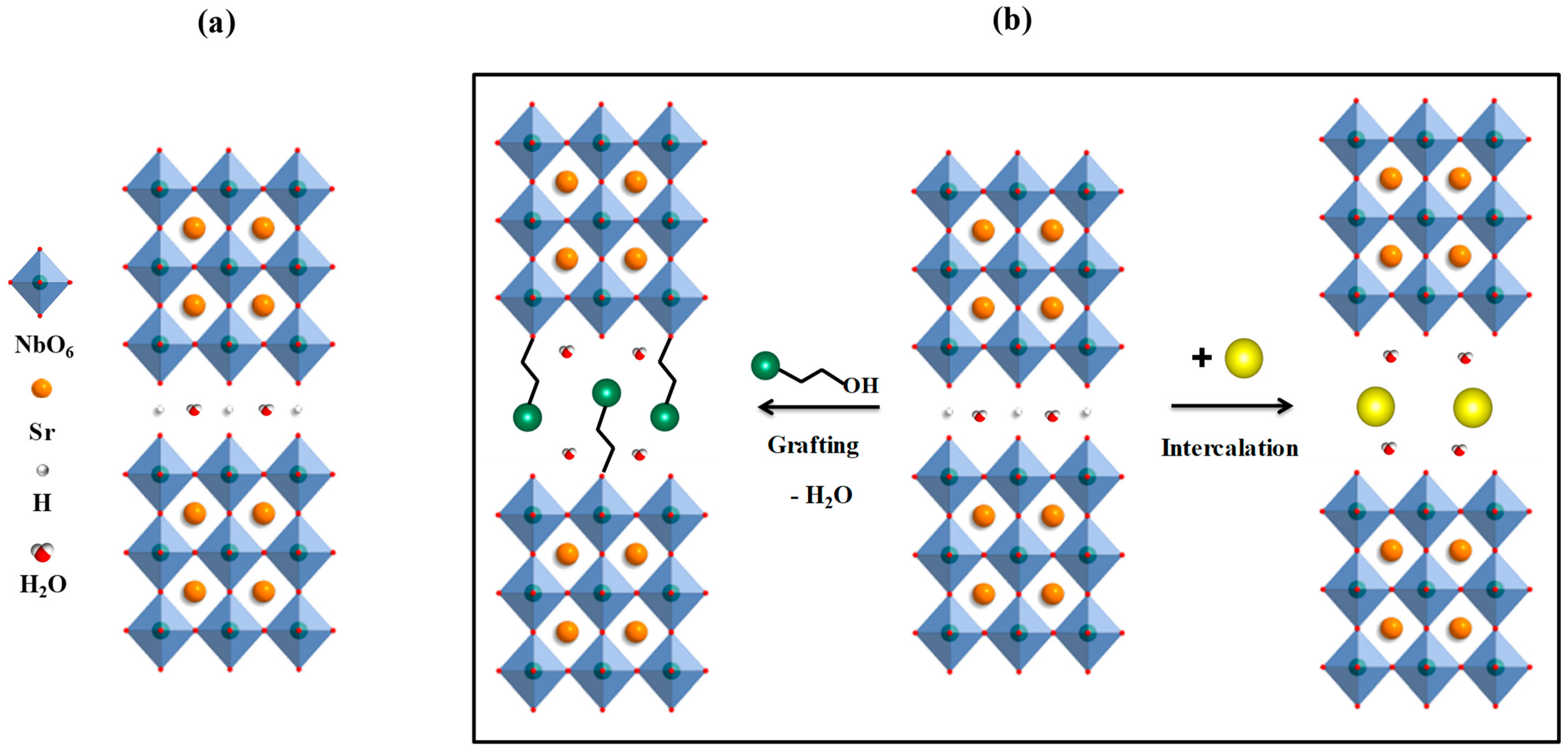 Molecules 28 04807 g001