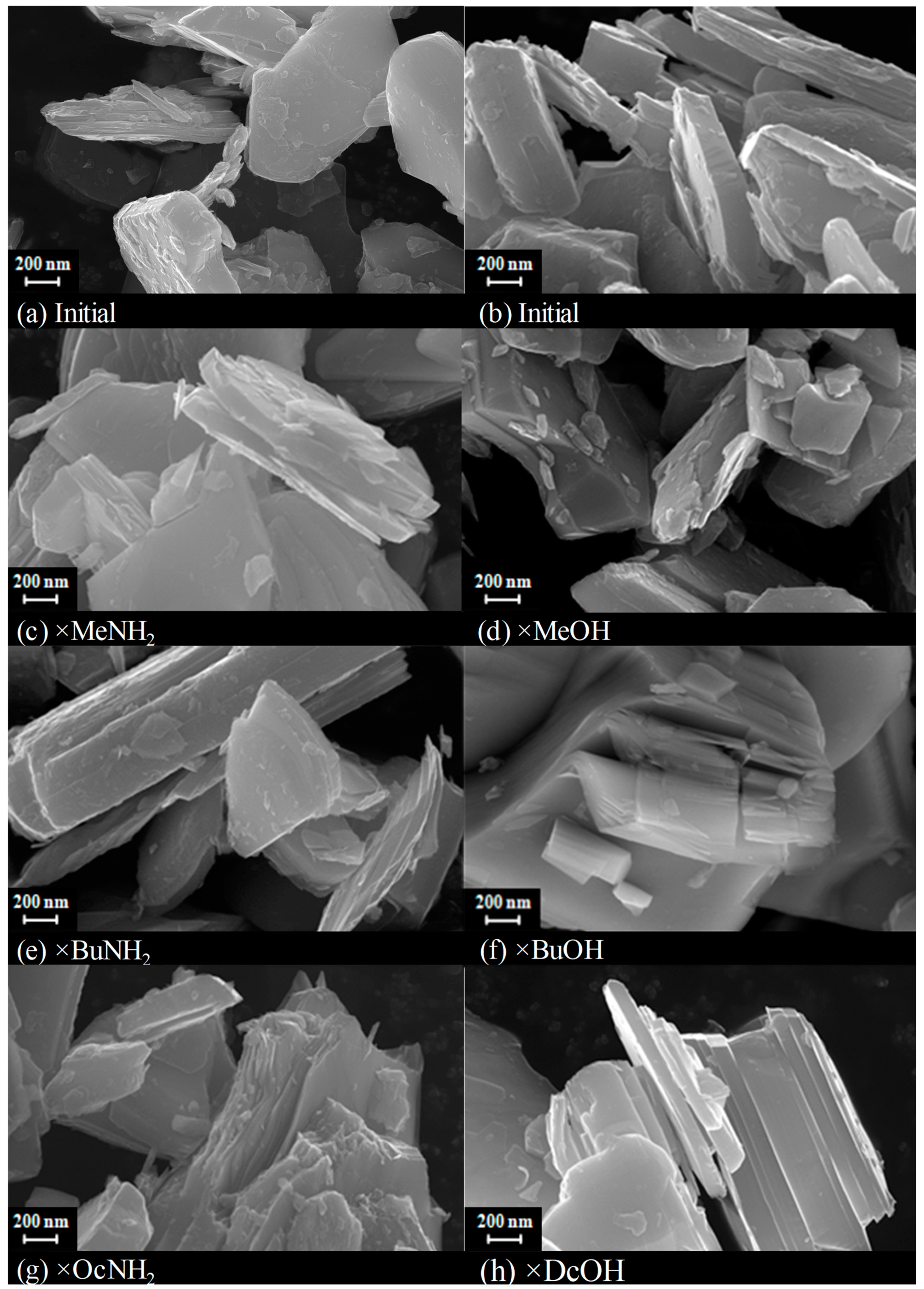 Molecules 28 04807 g007