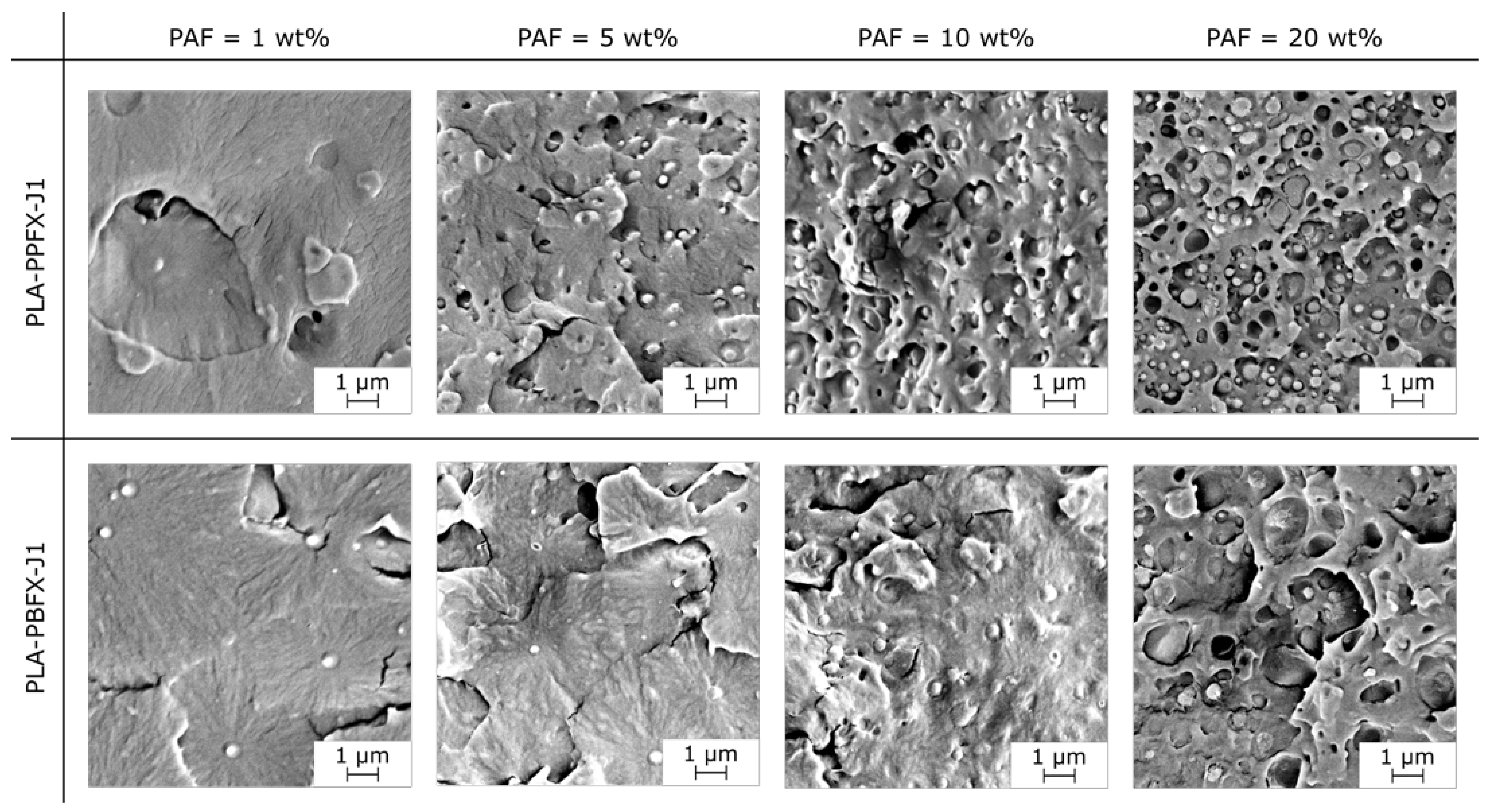 Molecules 28 04811 g003 Molecules 28 04811 g003