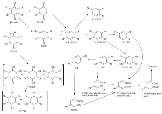 Molecules 28 04823 g002