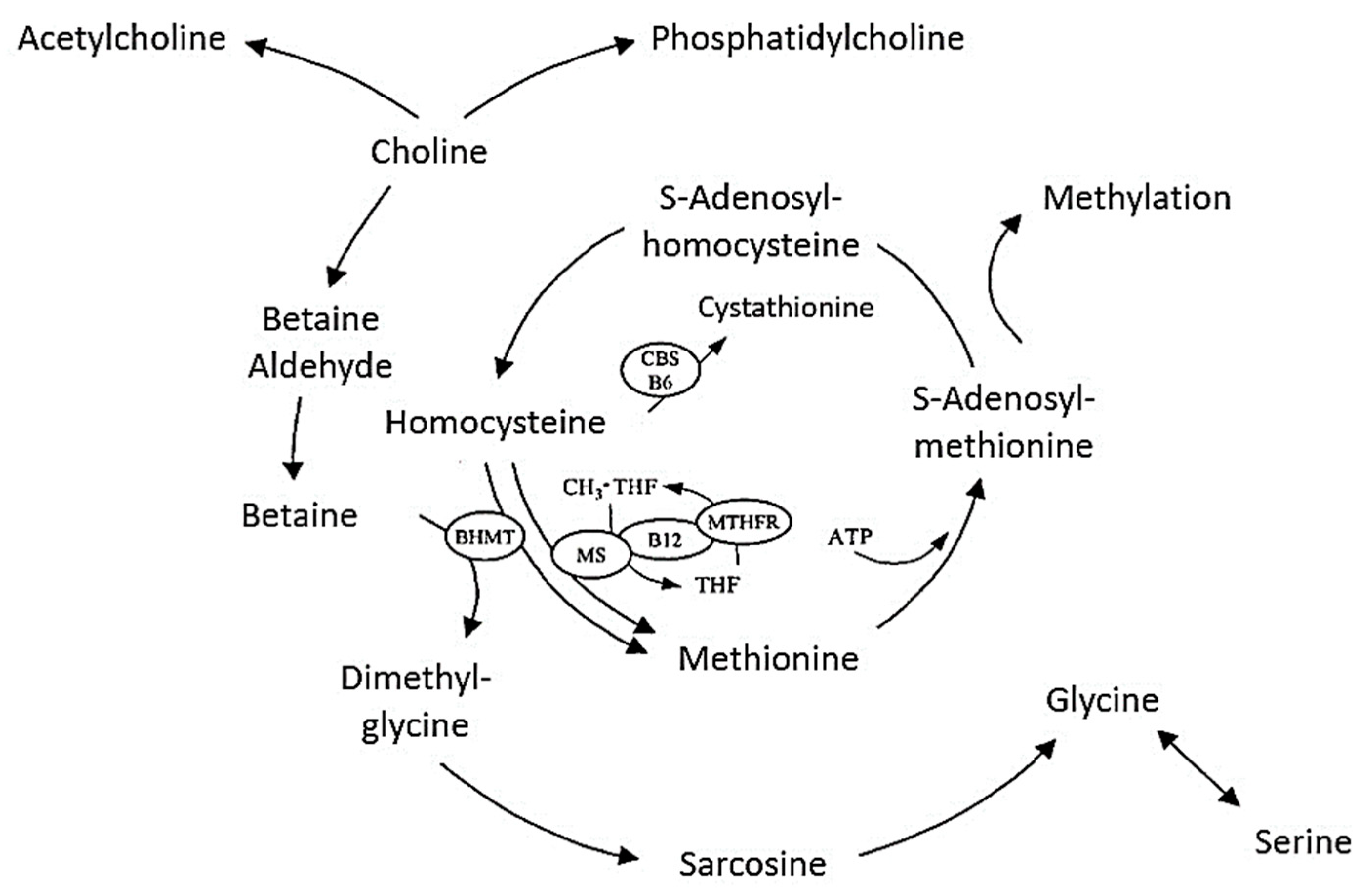 Molecules 28 04824 g002 Molecules 28 04824 g002