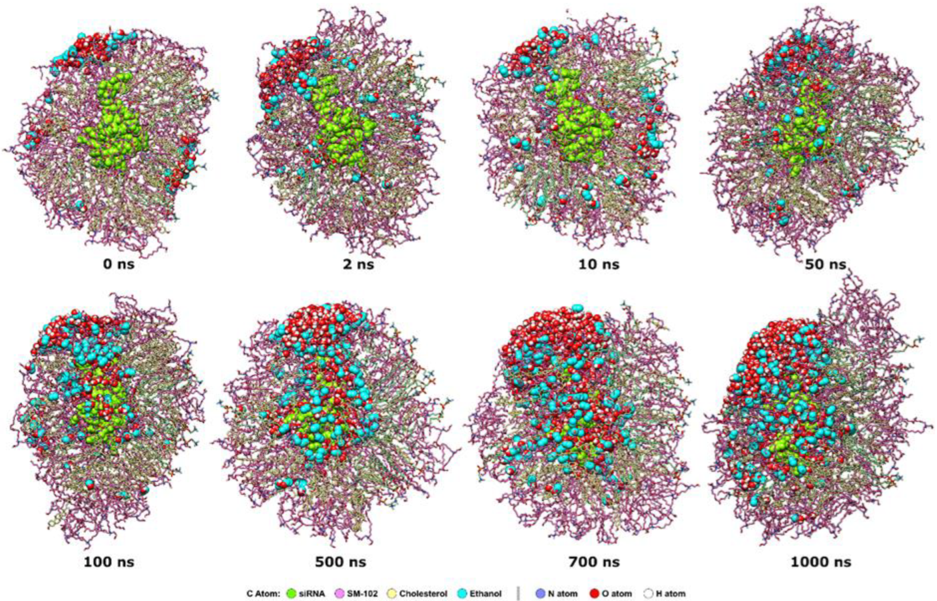 Molecules 28 04836 g010