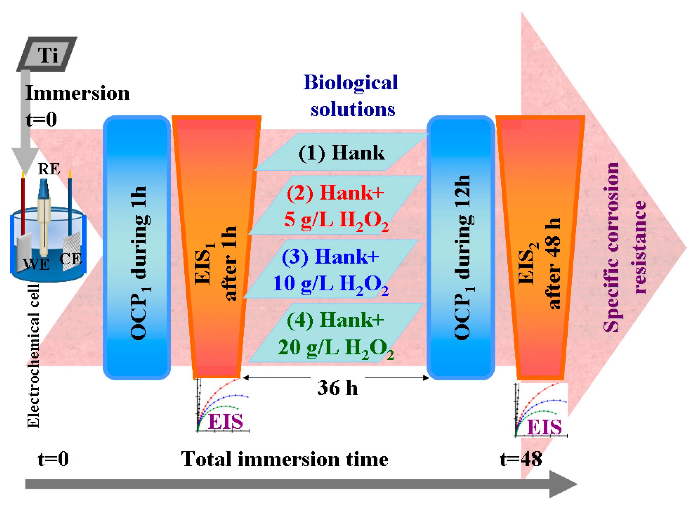 Molecules 28 04837 g012