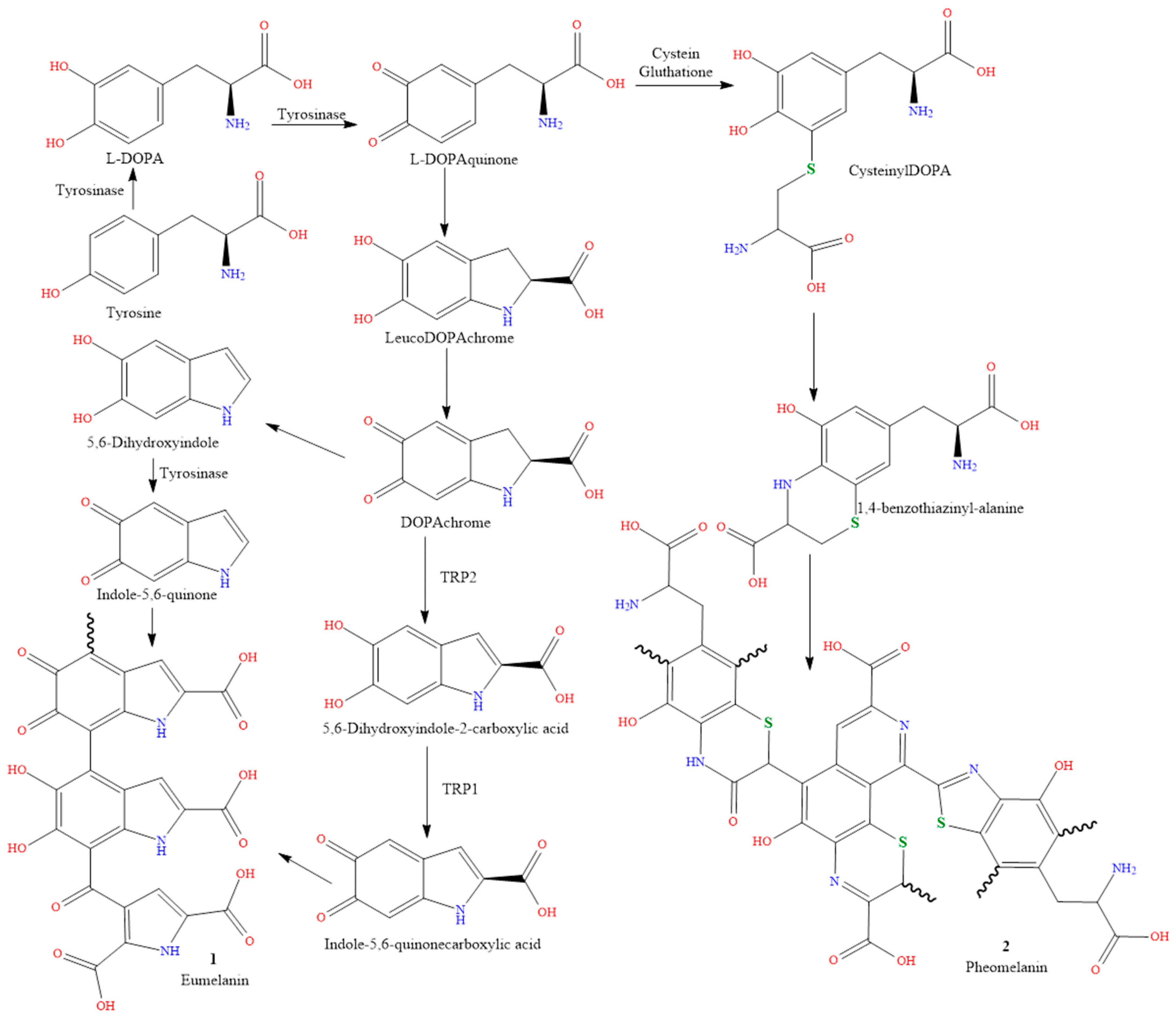 Molecules 28 04839 g001 Molecules 28 04839 g001