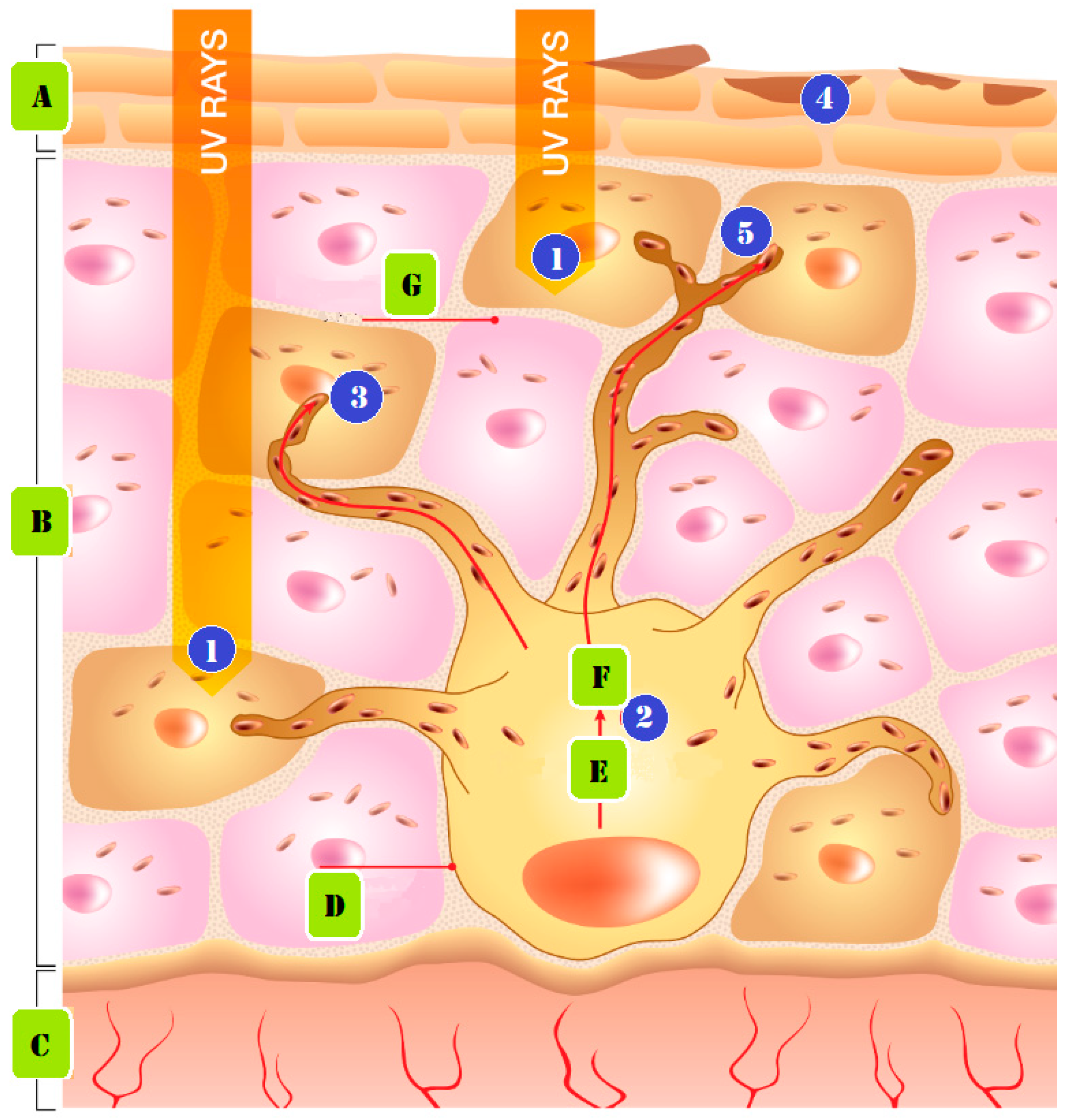 Molecules 28 04839 g002 Molecules 28 04839 g002