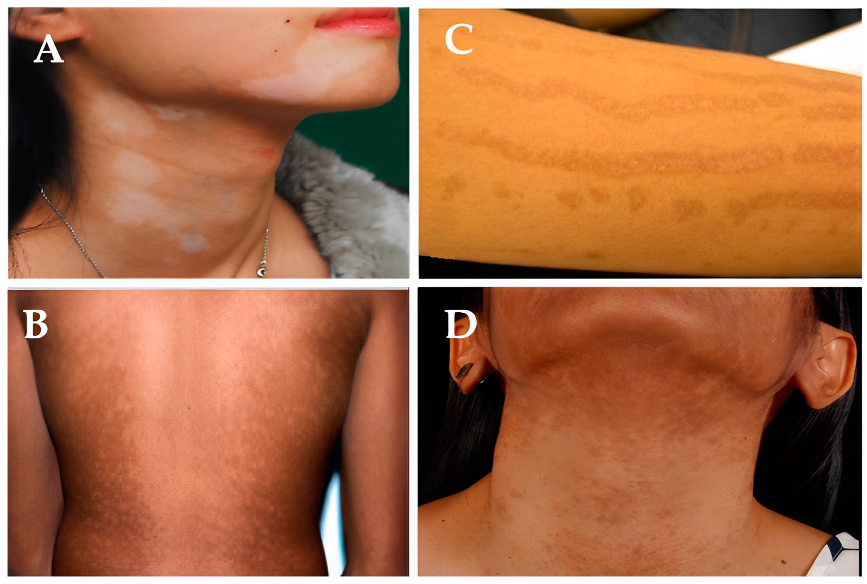 Molecules 28 04839 g003 Molecules 28 04839 g003