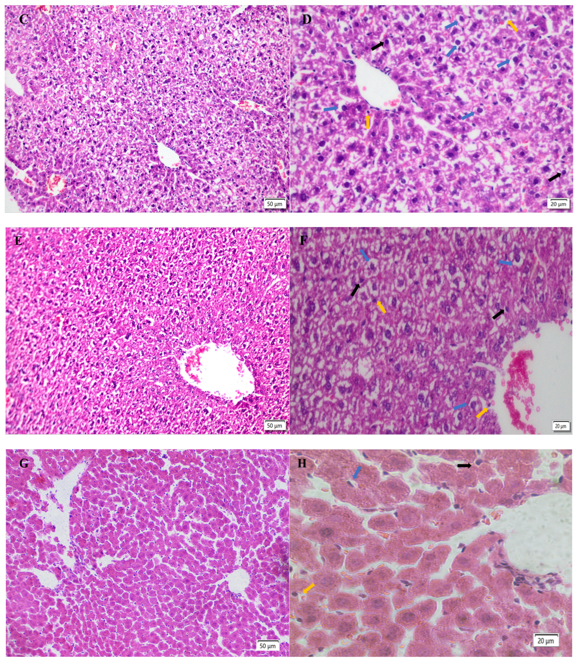 Molecules 28 04849 g005b Molecules 28 04849 g005b