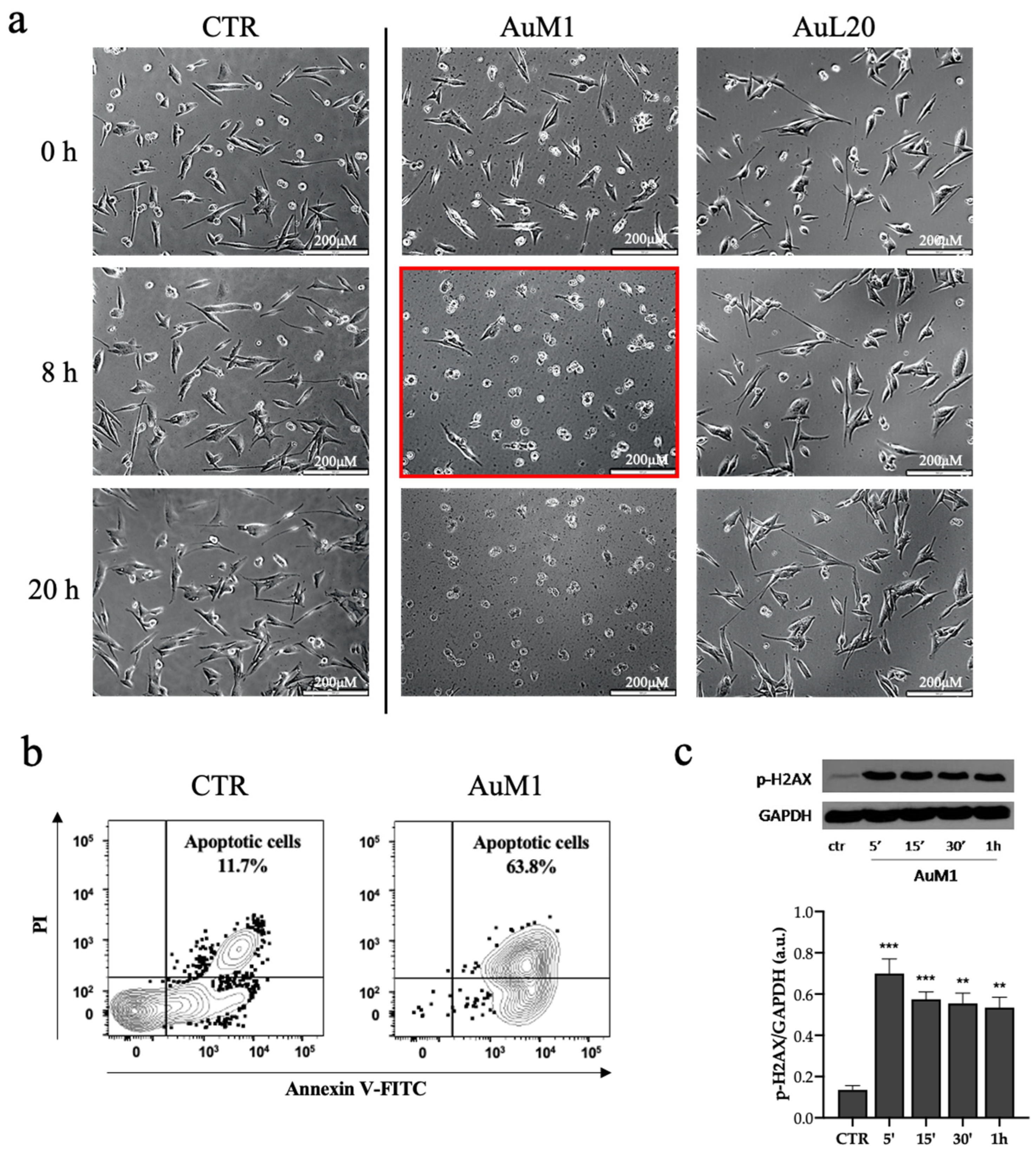 Molecules 28 04851 g004
