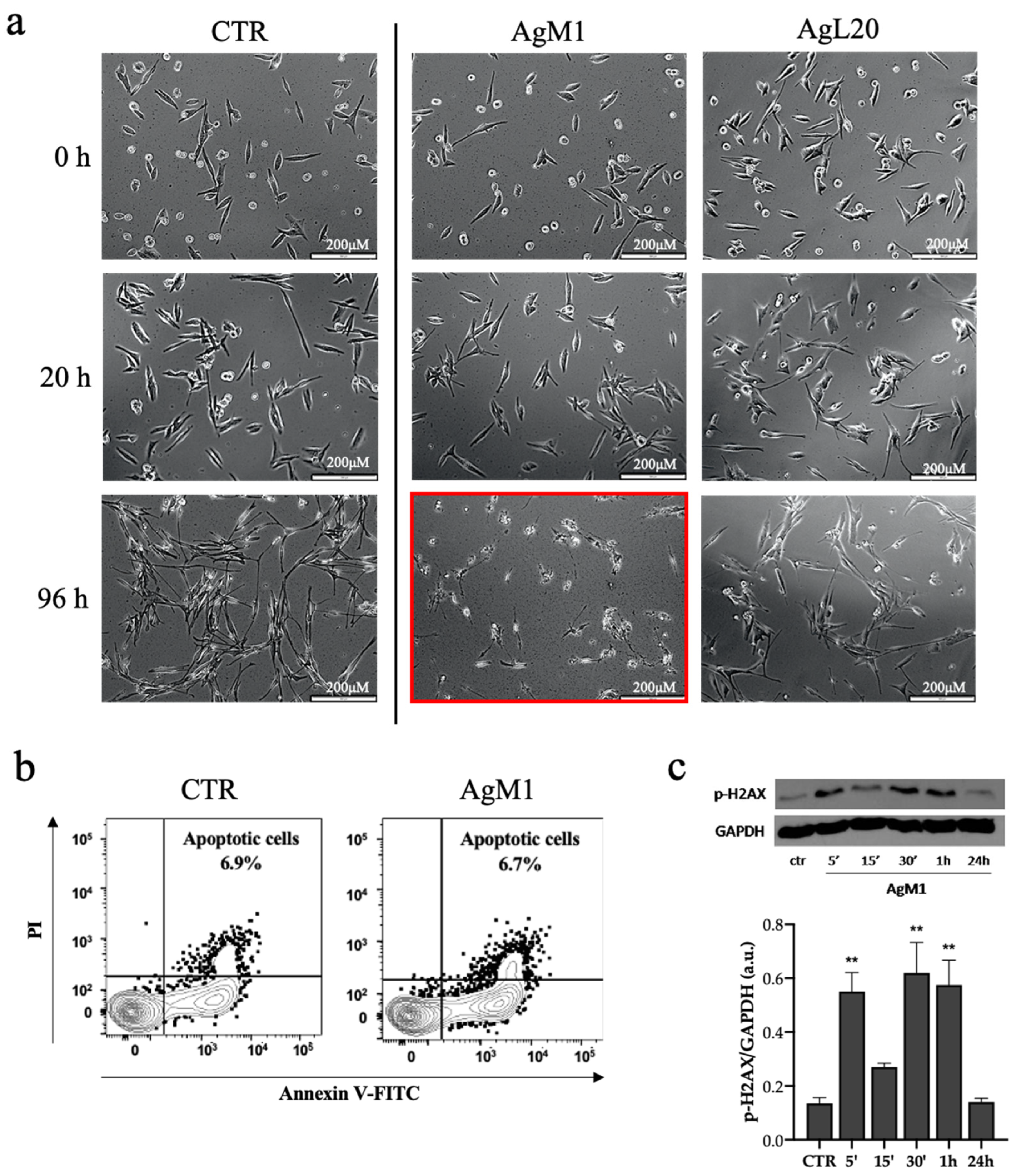 Molecules 28 04851 g005
