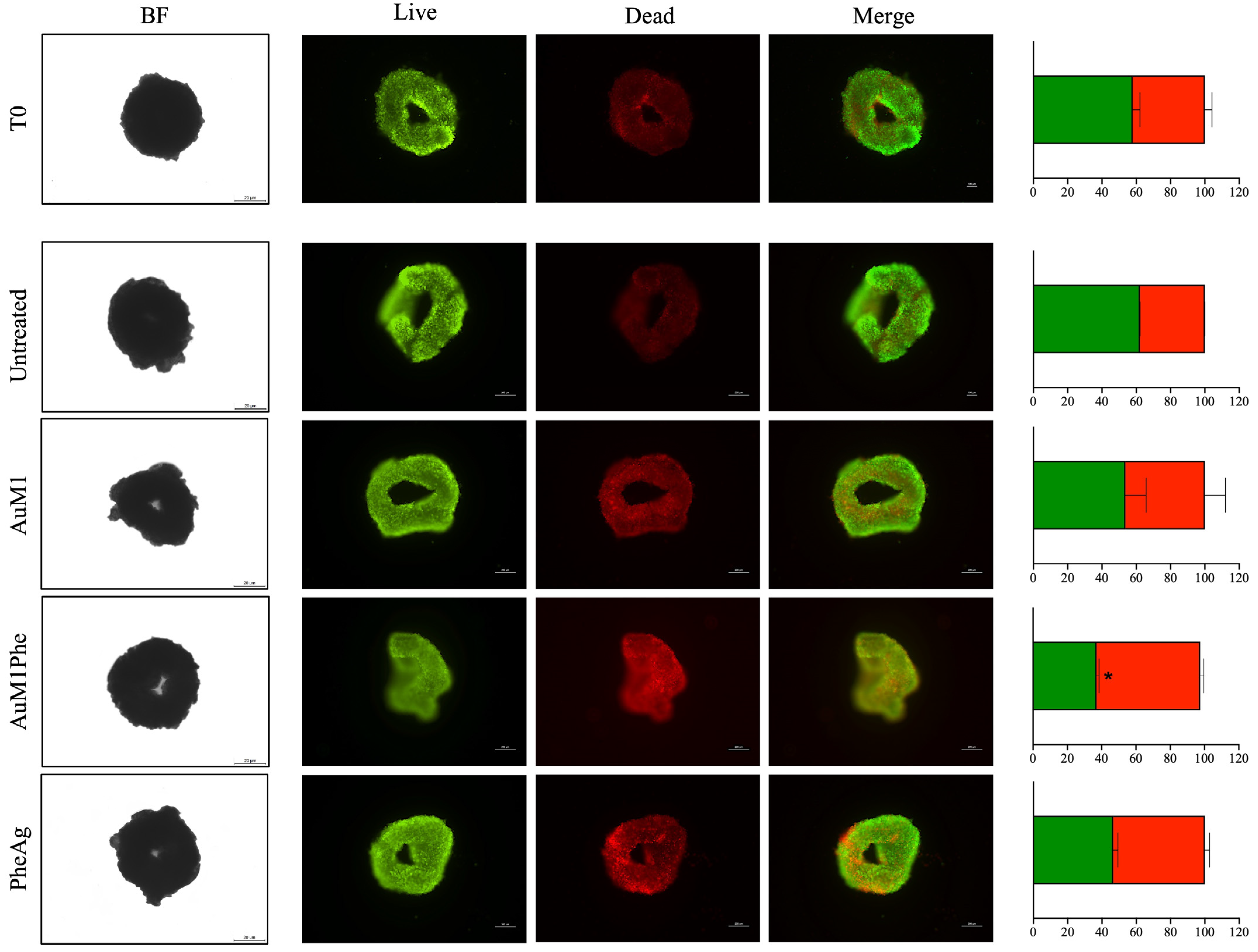 Molecules 28 04851 g009