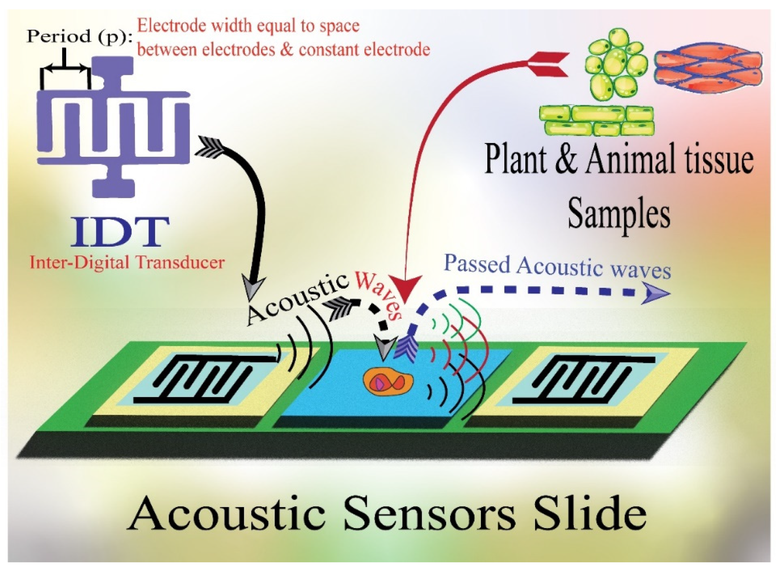Molecules 28 04855 g001
