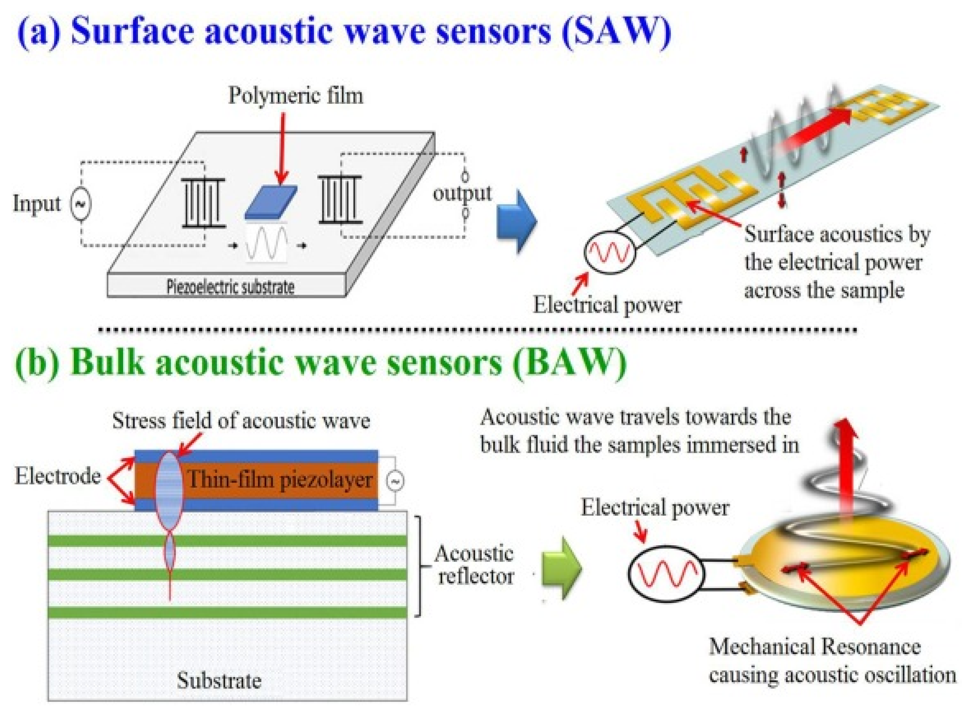 Molecules 28 04855 g003