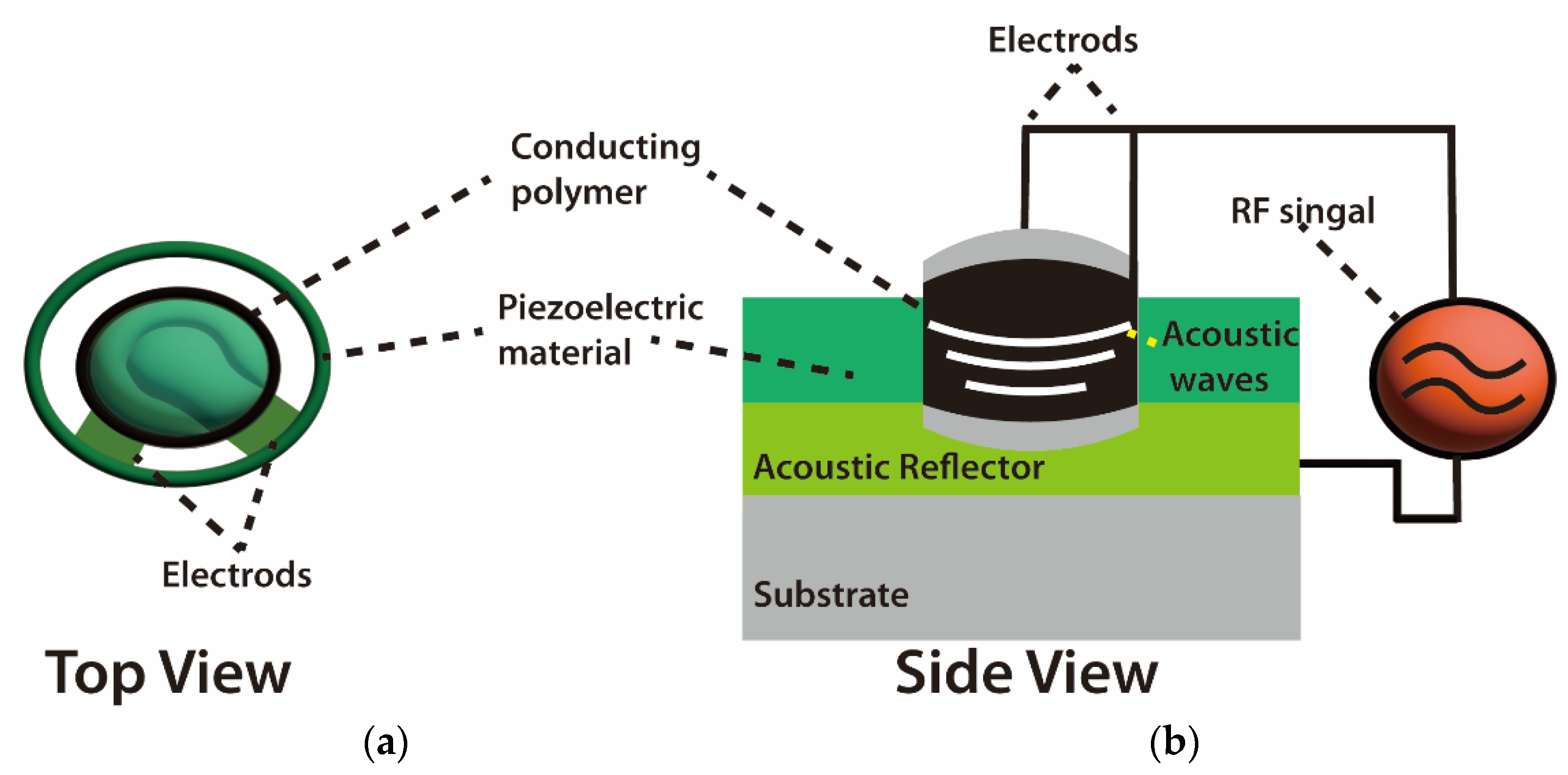 Molecules 28 04855 g004