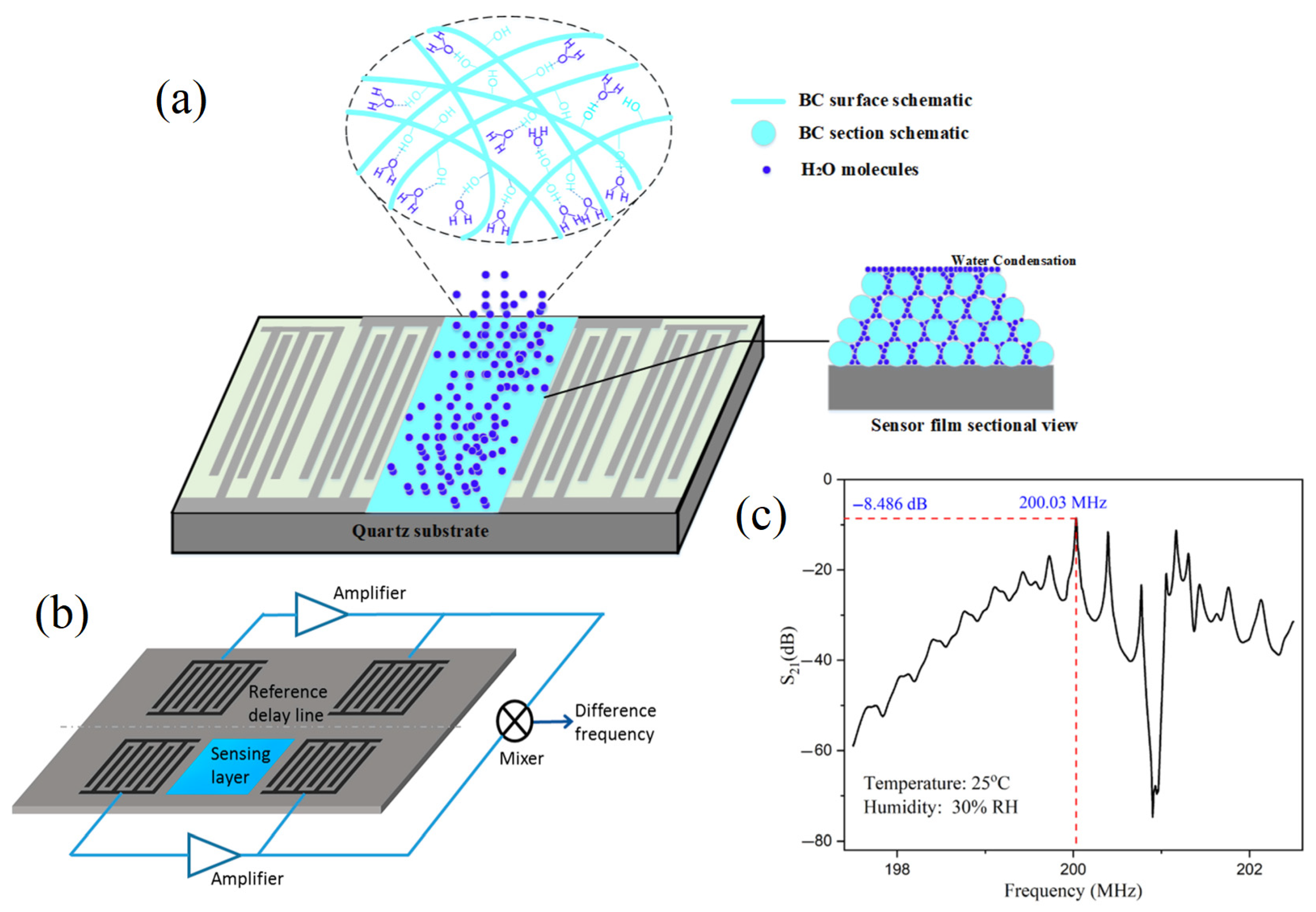 Molecules 28 04855 g005