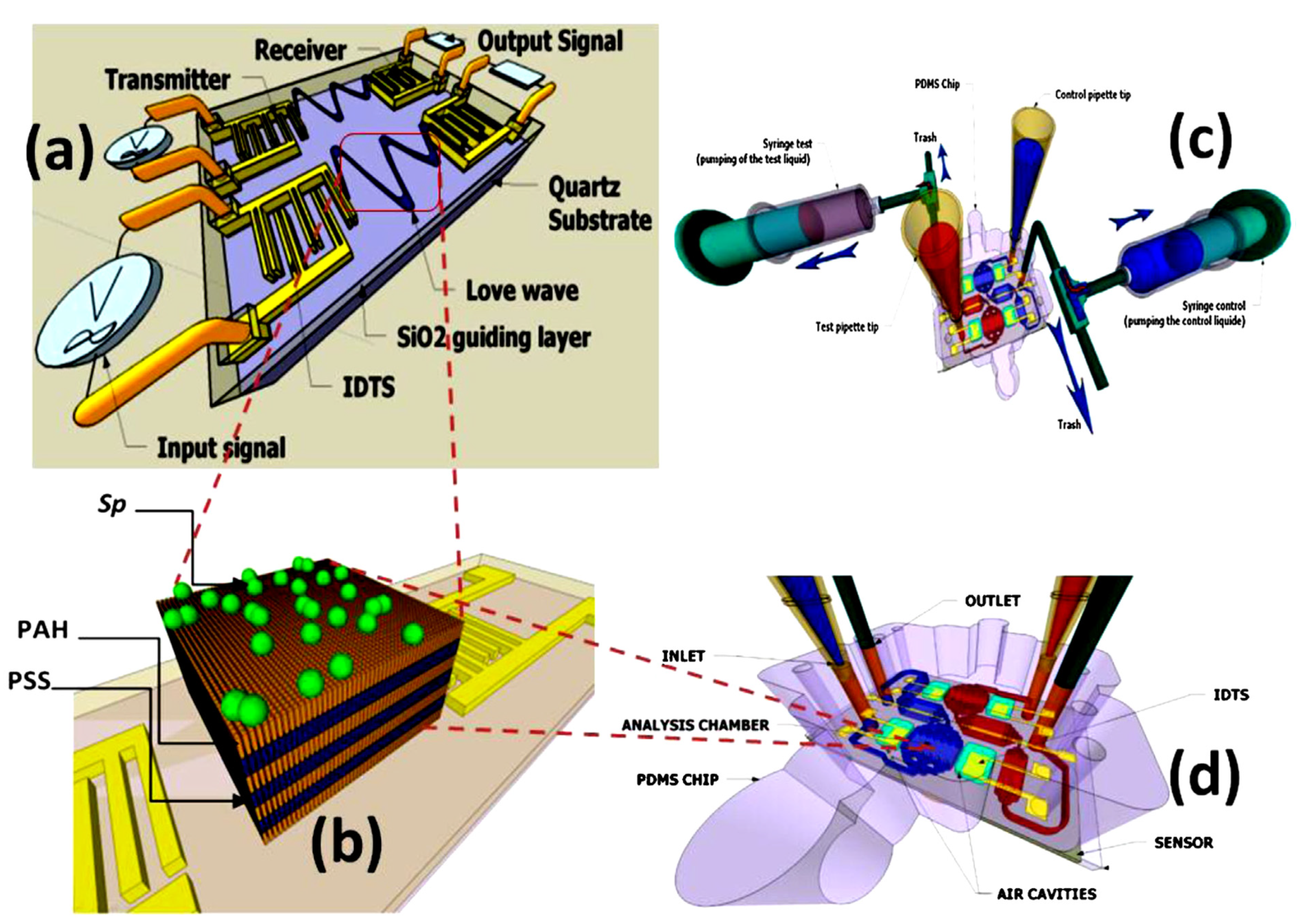 Molecules 28 04855 g009