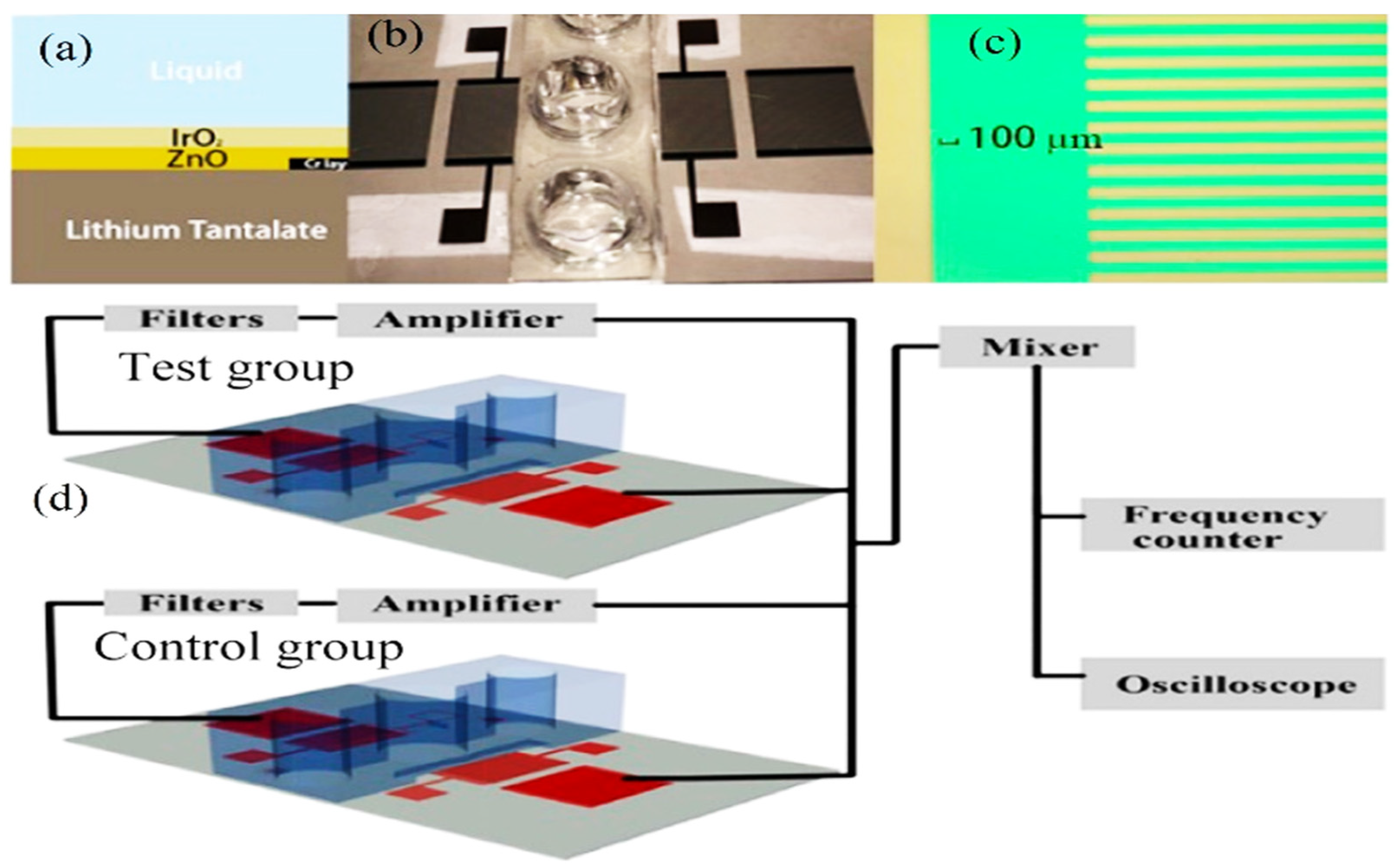 Molecules 28 04855 g010