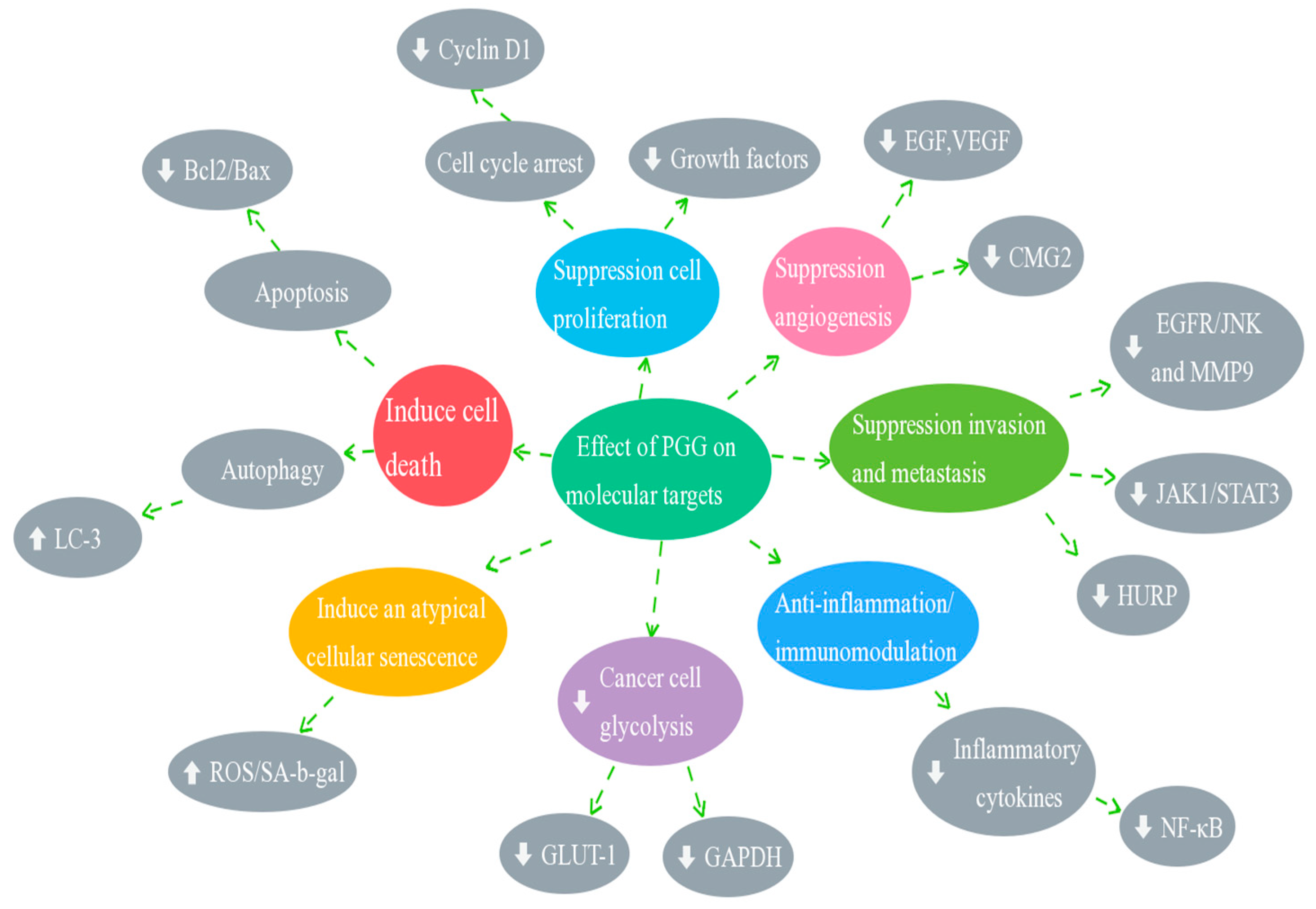 Molecules 28 04856 g002 Molecules 28 04856 g002