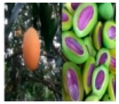 Molecules 28 04856 i001 Molecules 28 04856 i001