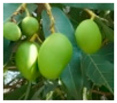 Molecules 28 04856 i002 Molecules 28 04856 i002