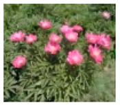 Molecules 28 04856 i003 Molecules 28 04856 i003