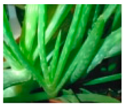 Molecules 28 04856 i004 Molecules 28 04856 i004